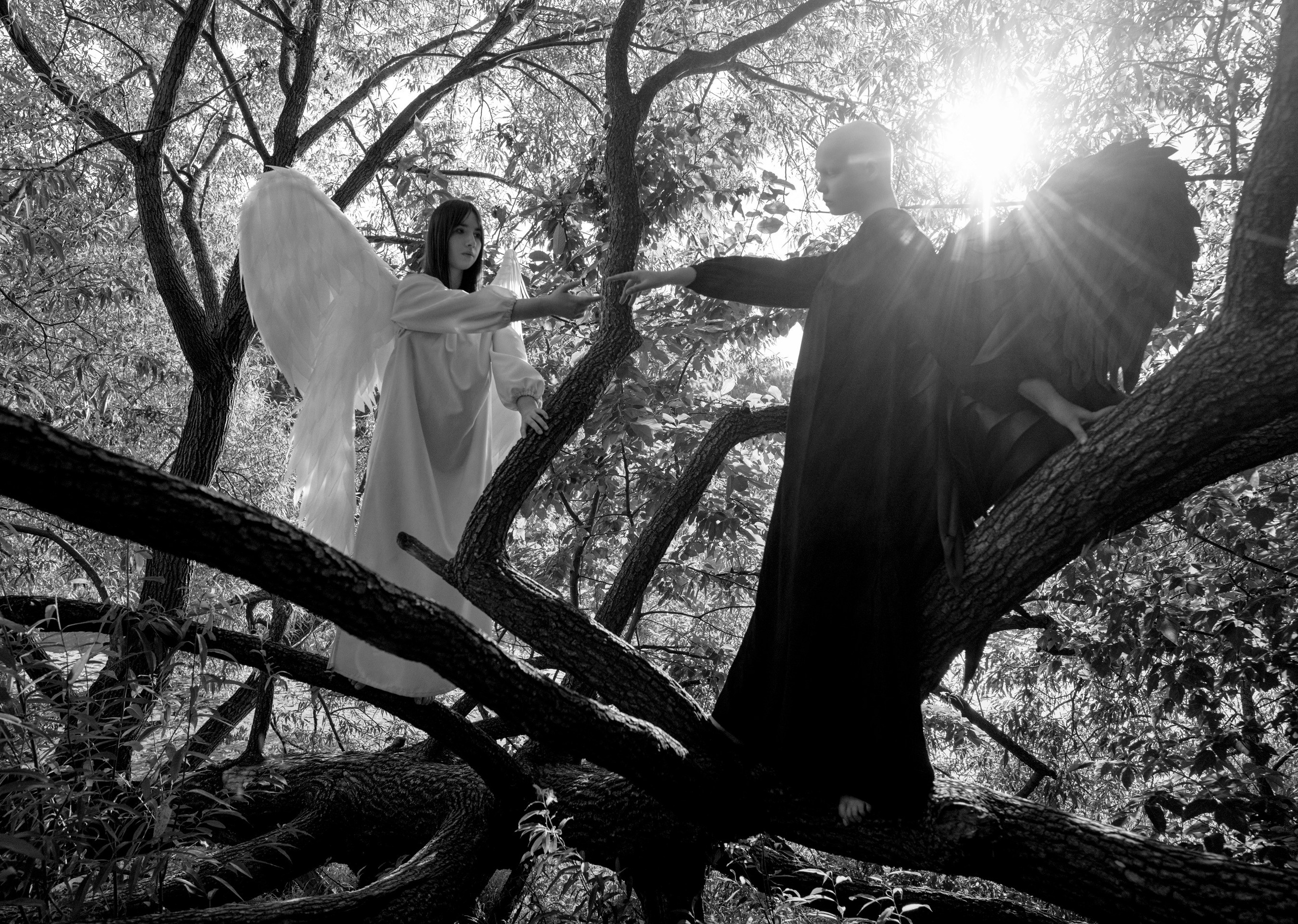 Ангелы. Фотограф Сергей Танков