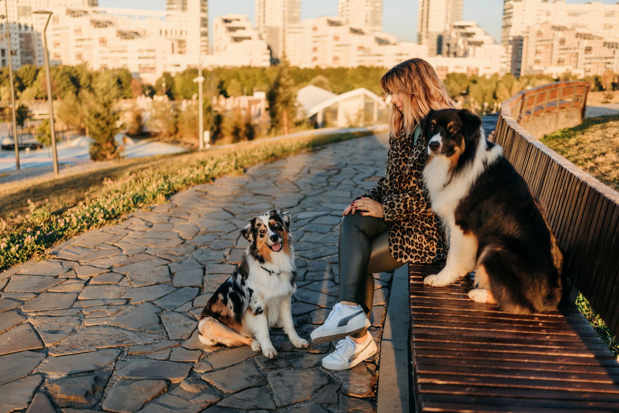 Аня, Чарли и Ева. Фотограф-анималист Елена Радченко, Москва