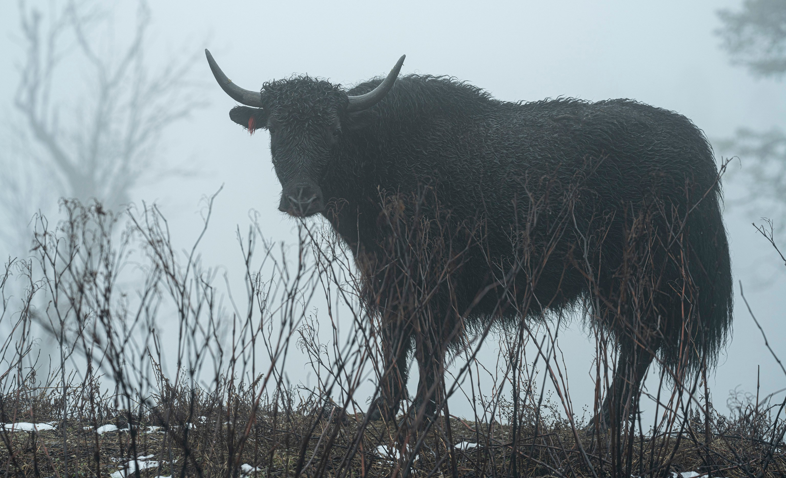 India travel. Фотограф Сергей Танков
