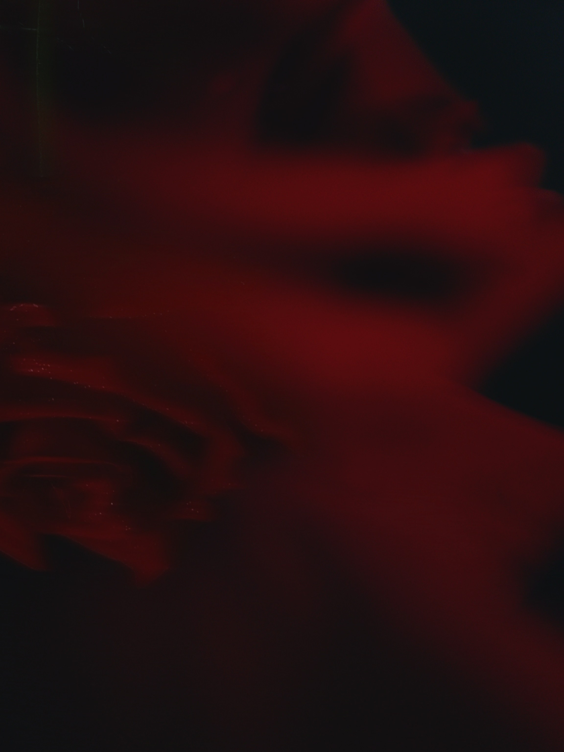 Цветы. Фотограф из Санкт-Петербурга/Катерина Зайцева