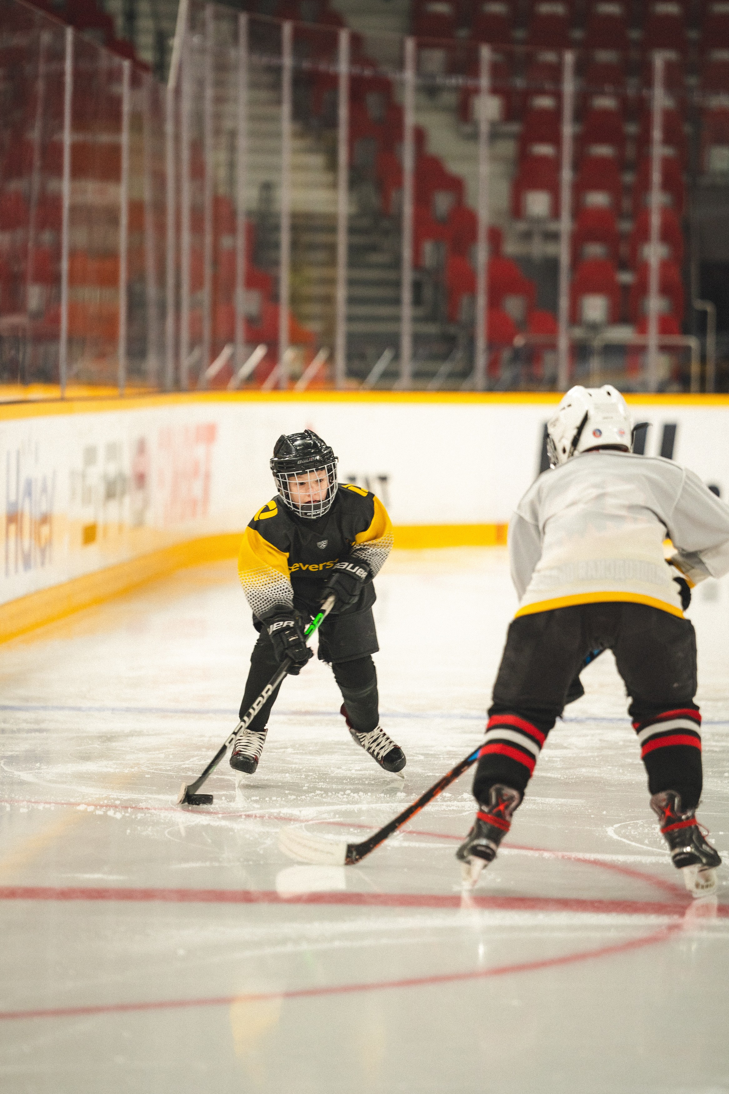 ХК Северсталь (младшая группа). Череповец. Zekons. Фото, видео, нейросети