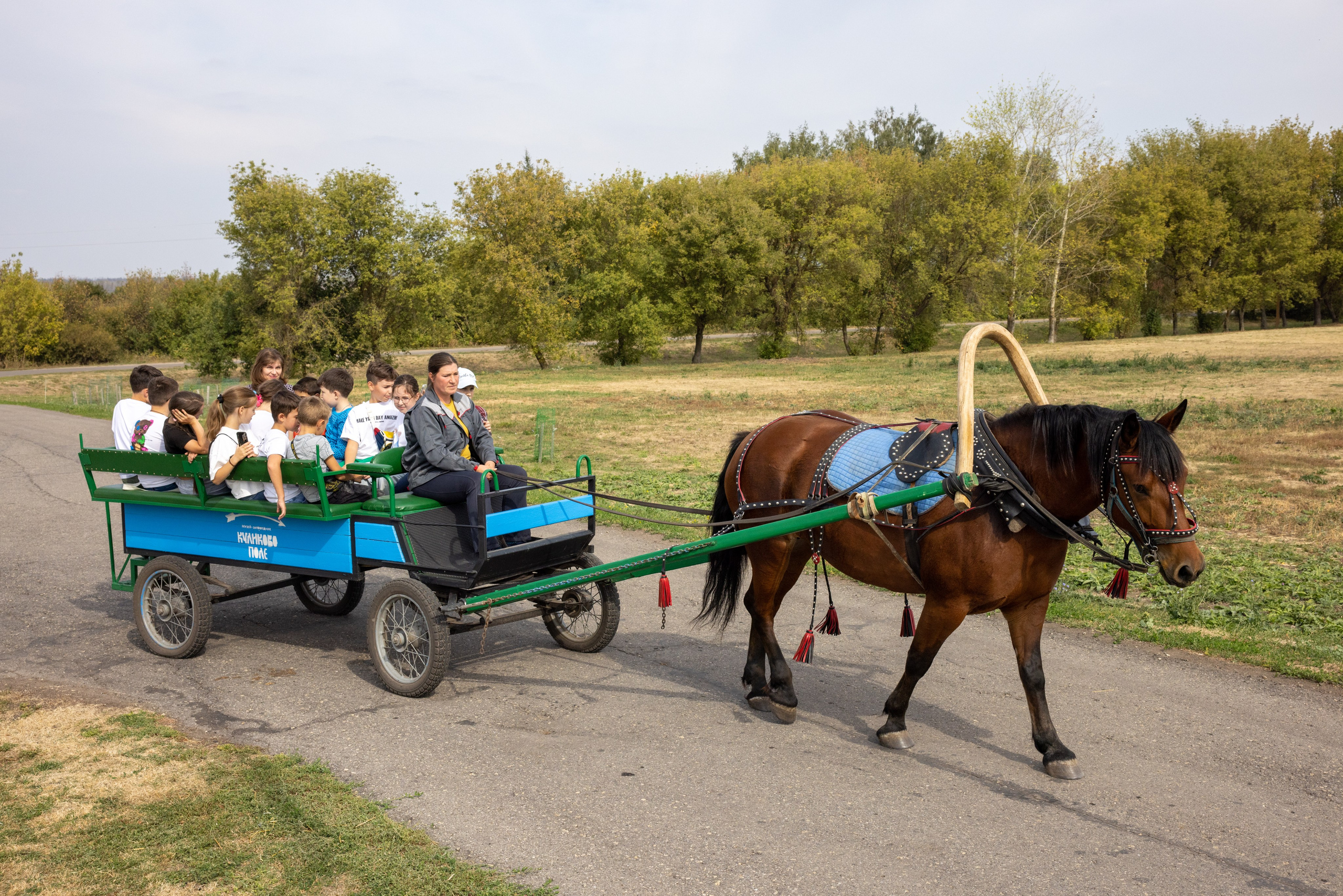 Поездка на поле Кулеково. Фотограф в Туле Крупский АнДРей. Фотостудия «КАДР71» в Туле