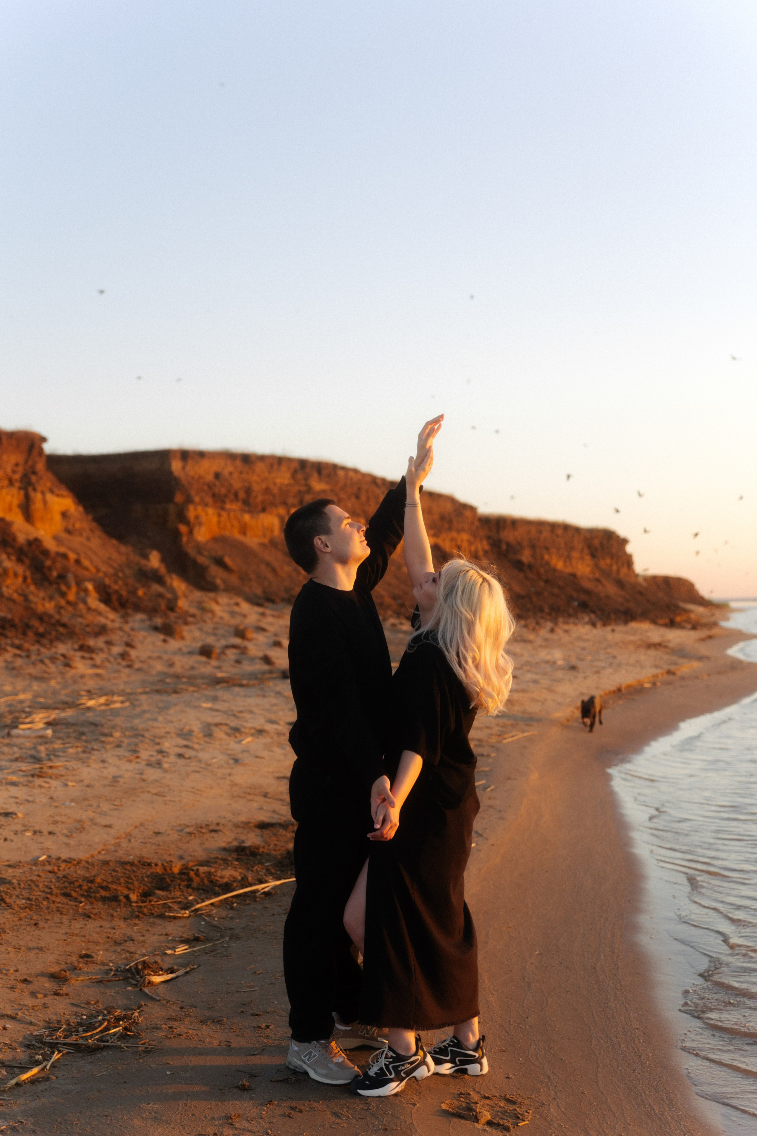 Ласточки. Свадебный и семейный фотограф Юлия Сафронова