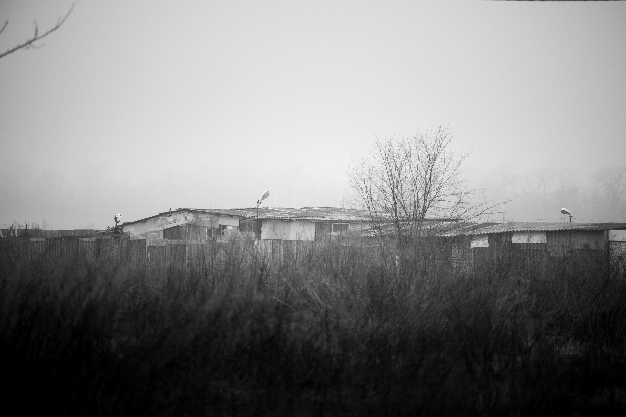 Ферма. Фотограф Антон Денисенко: Портрет, Документалистика, Пейзаж. Москва