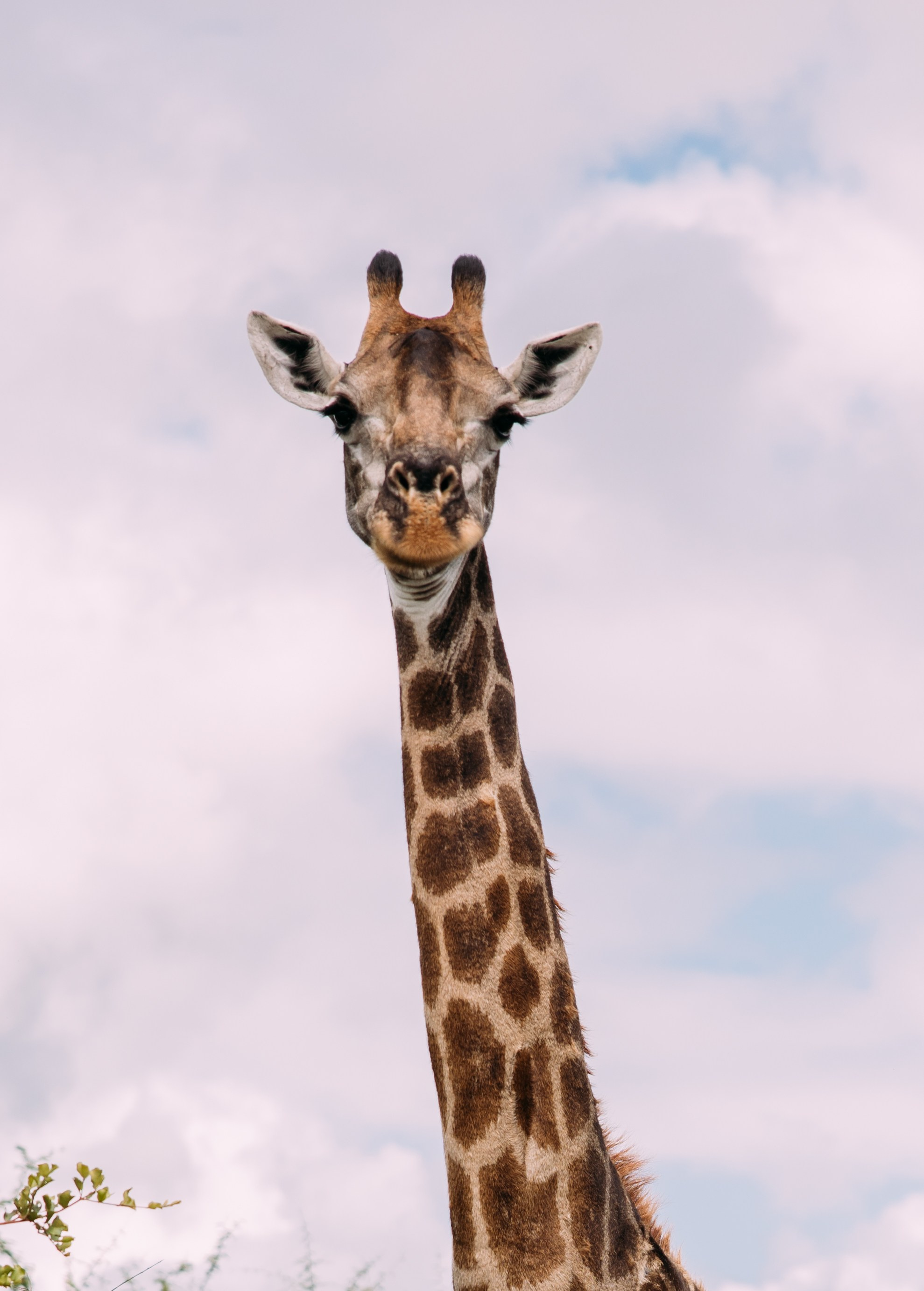 ФОТО ТУРЫ ПО МИРУ. Фотограф Марина Аблаева-Кожедуб