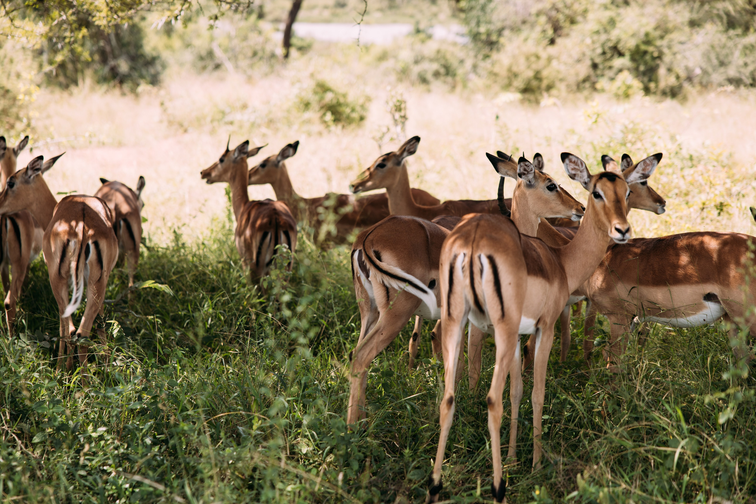 ФОТО ТУРЫ ПО МИРУ. Фотограф Марина Аблаева-Кожедуб