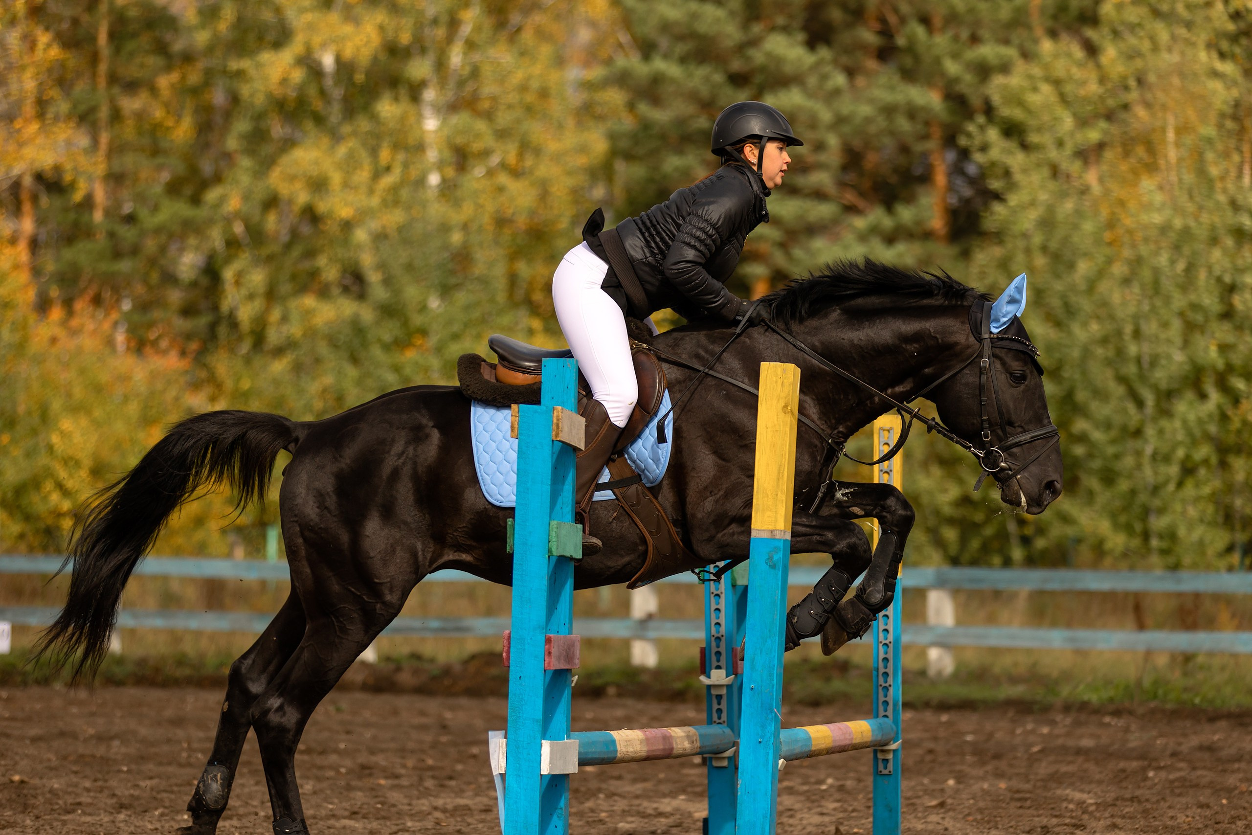Соревнования по конному спорту. Конный фотограф Валынкина Лера