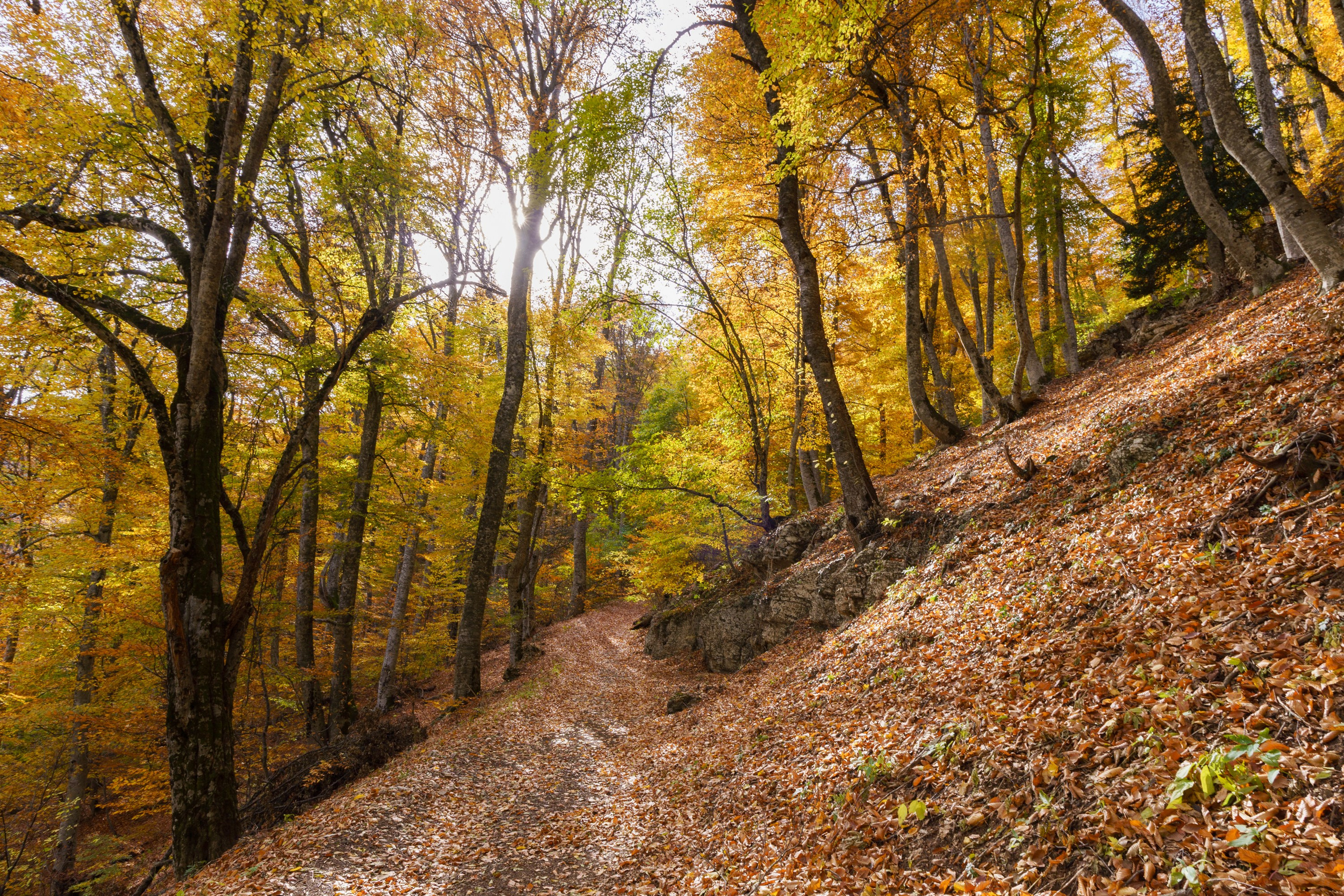 Пейзаж от Ольги Пановой. Интерьерный и архитектурный фотограф в Москве Панова Ольга