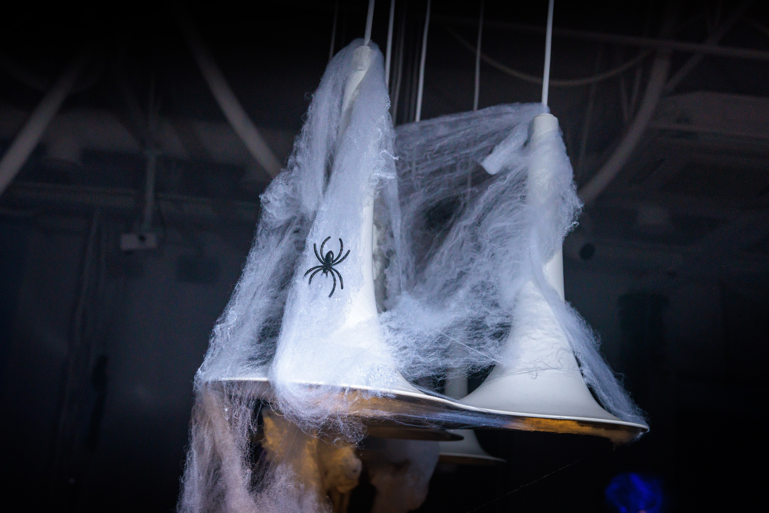 IN WITE «Тыквенный спас». СТУДИЯ ДАТ производство видео и фото контента о любой дате, которая для вас важна.Видеограф, фотограф Новокубанск -Дмитрий Тарасов