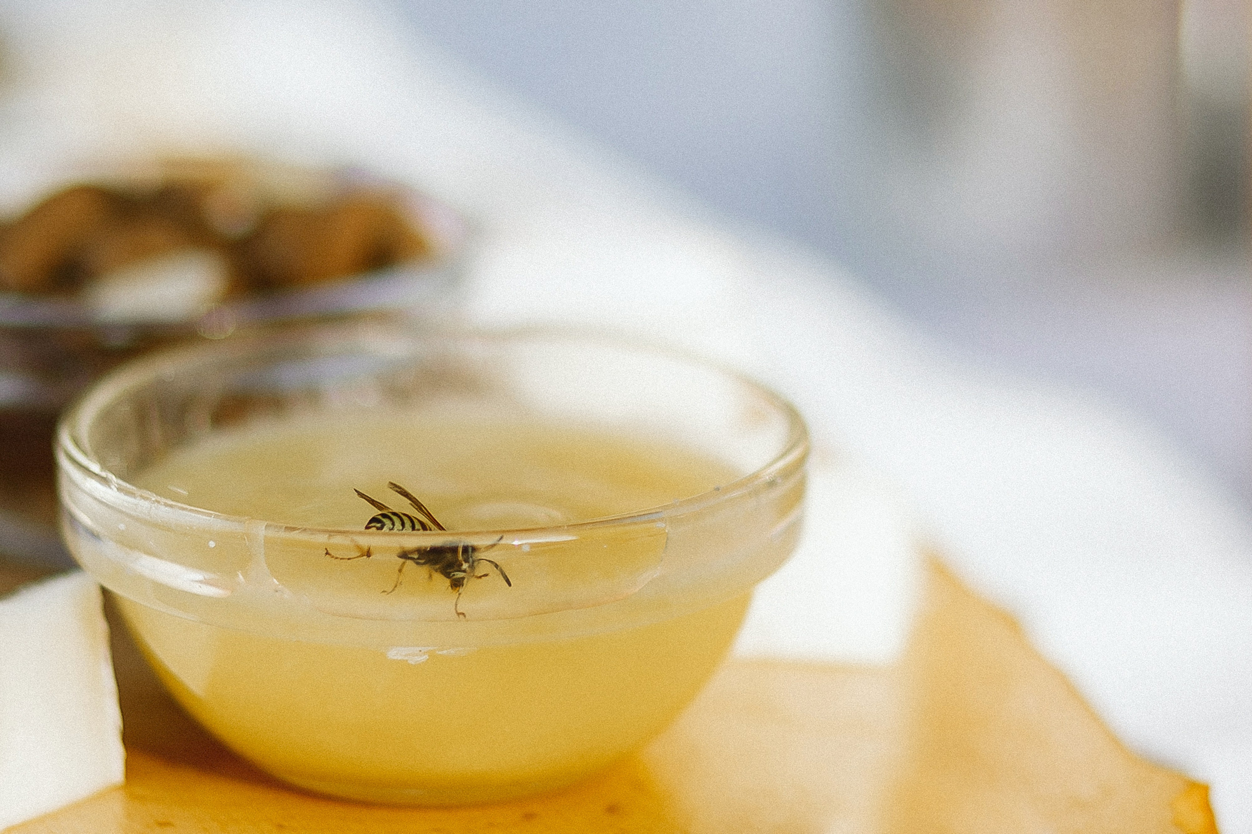 «Деревенская свадьба». Свадебный и семейный фотограф в Калининграде Ольга Мешечкова