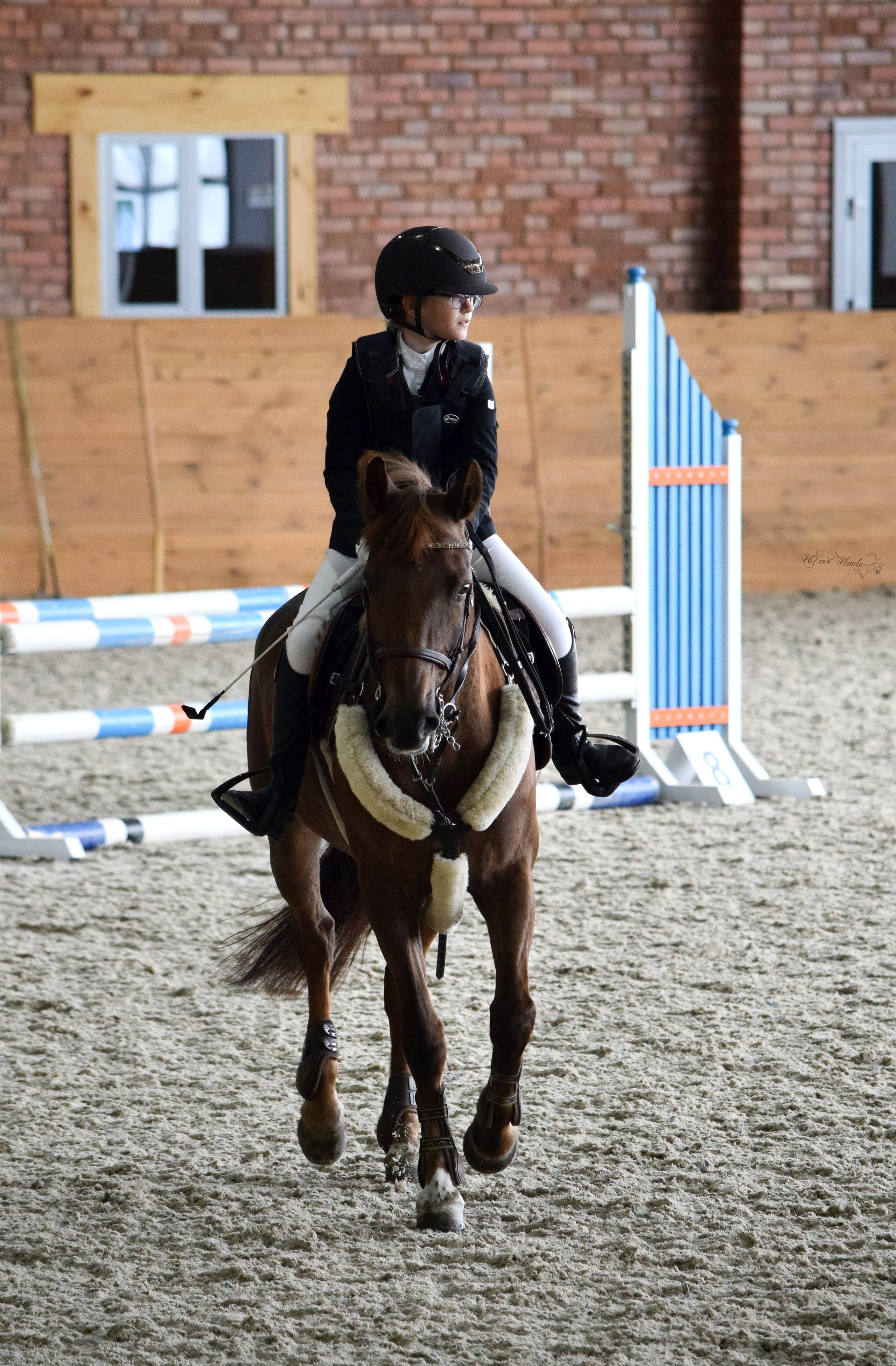Конкур Гермес. Конный фотограф в Саратове Юлия Иванова