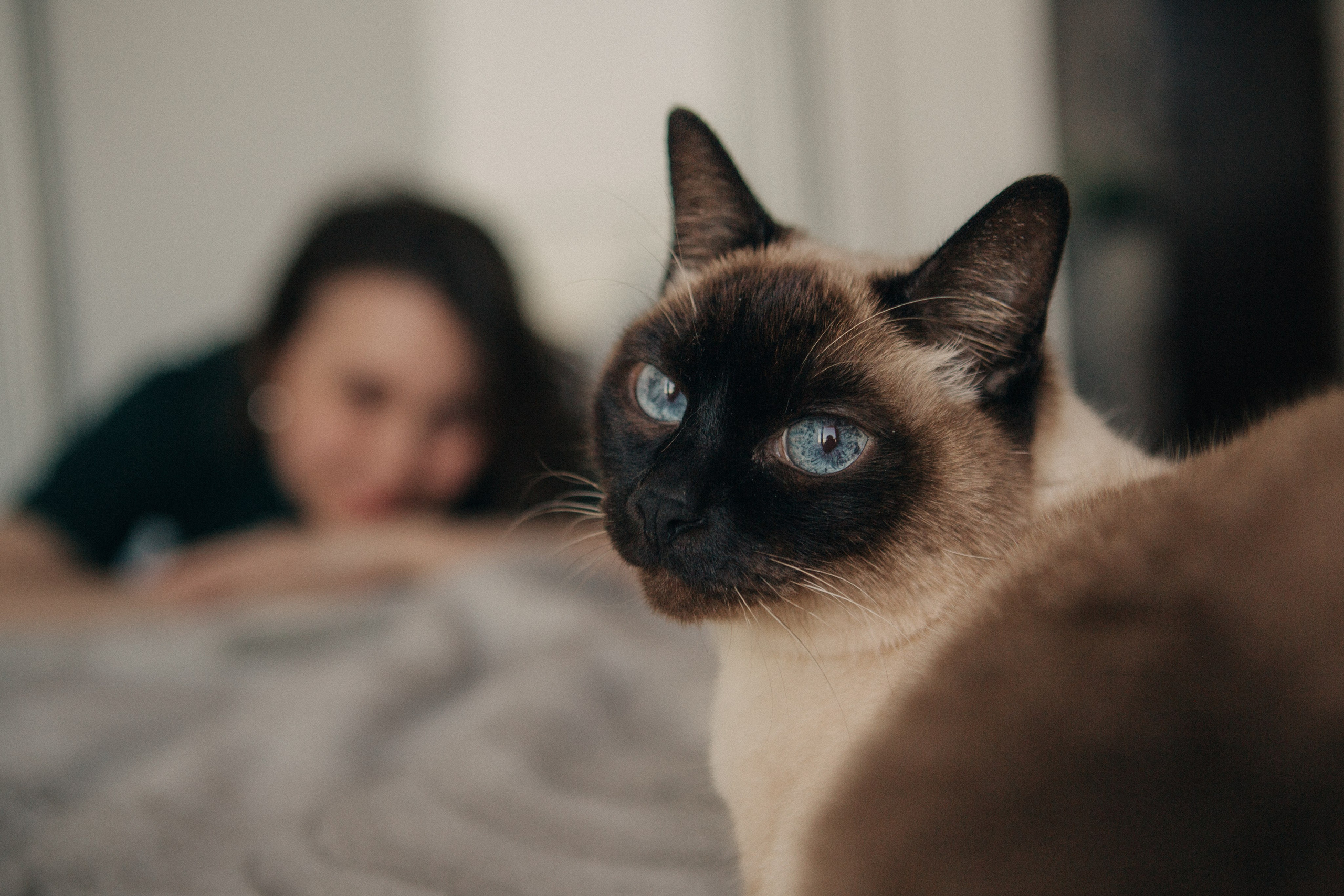 Alina. Portrait, family and pet photographer in Cyprus, Ksenia Bourdelle