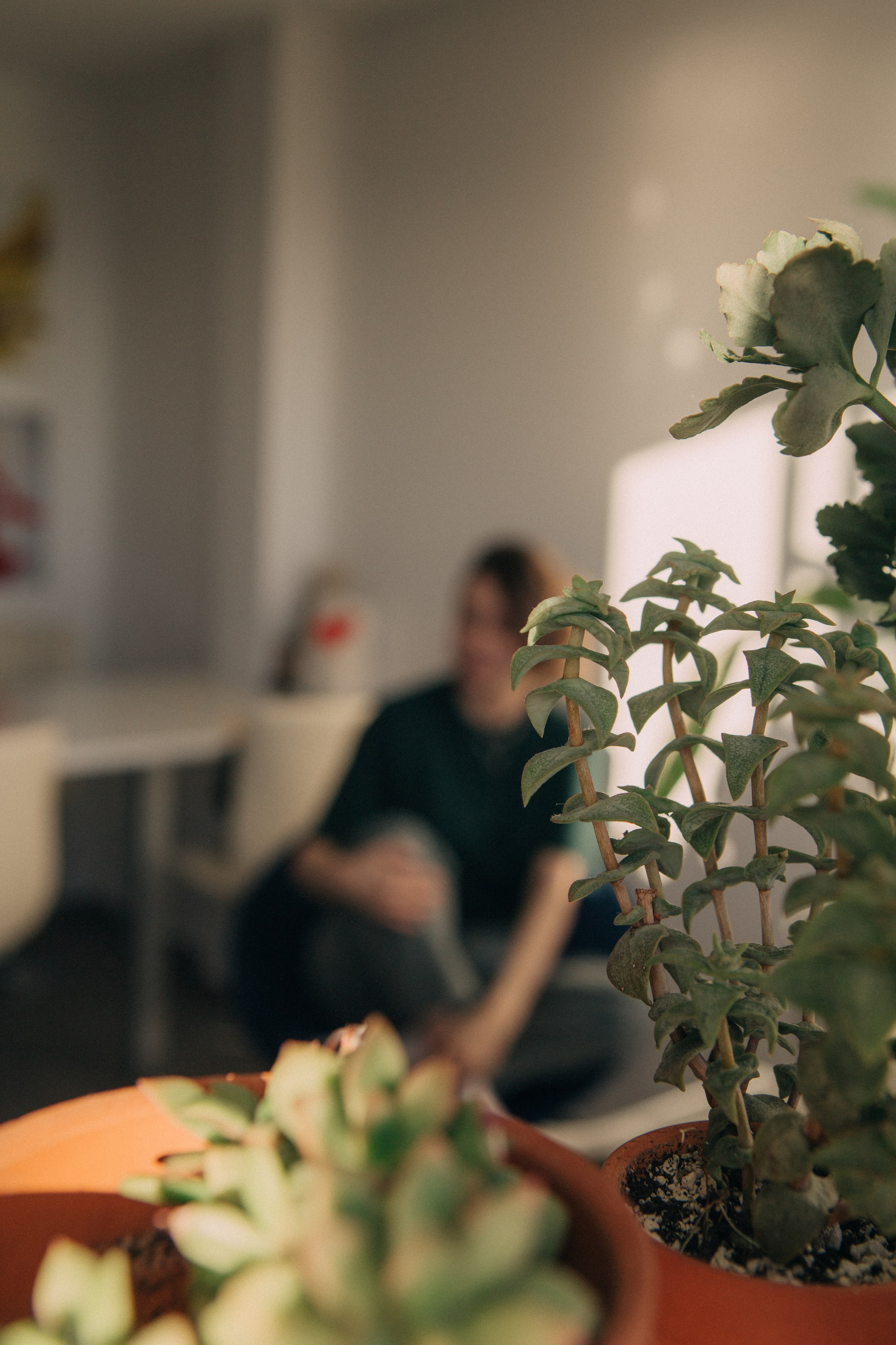 Alina. Portrait, family and pet photographer in Cyprus, Ksenia Bourdelle