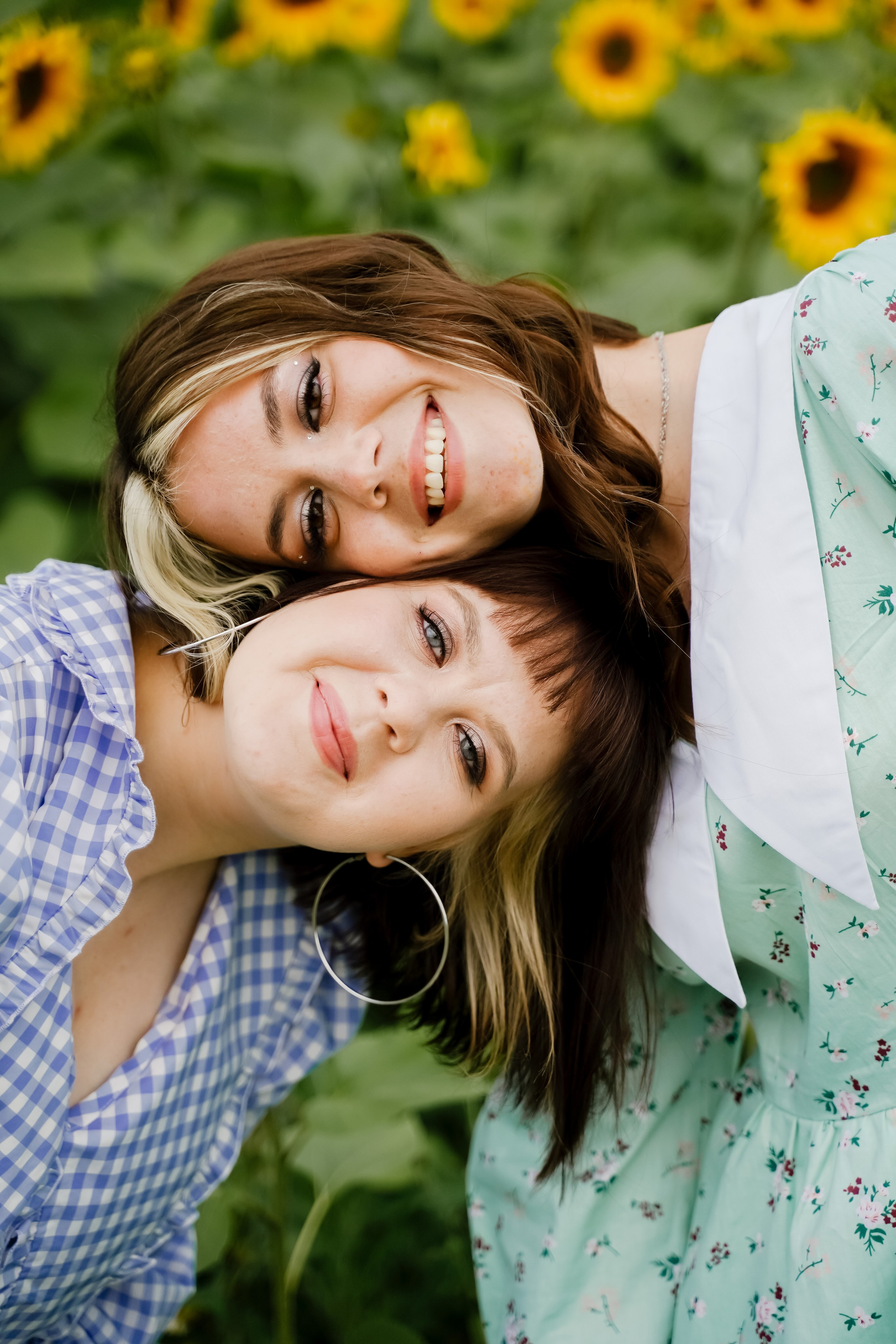 Подсолнухи. Бирск