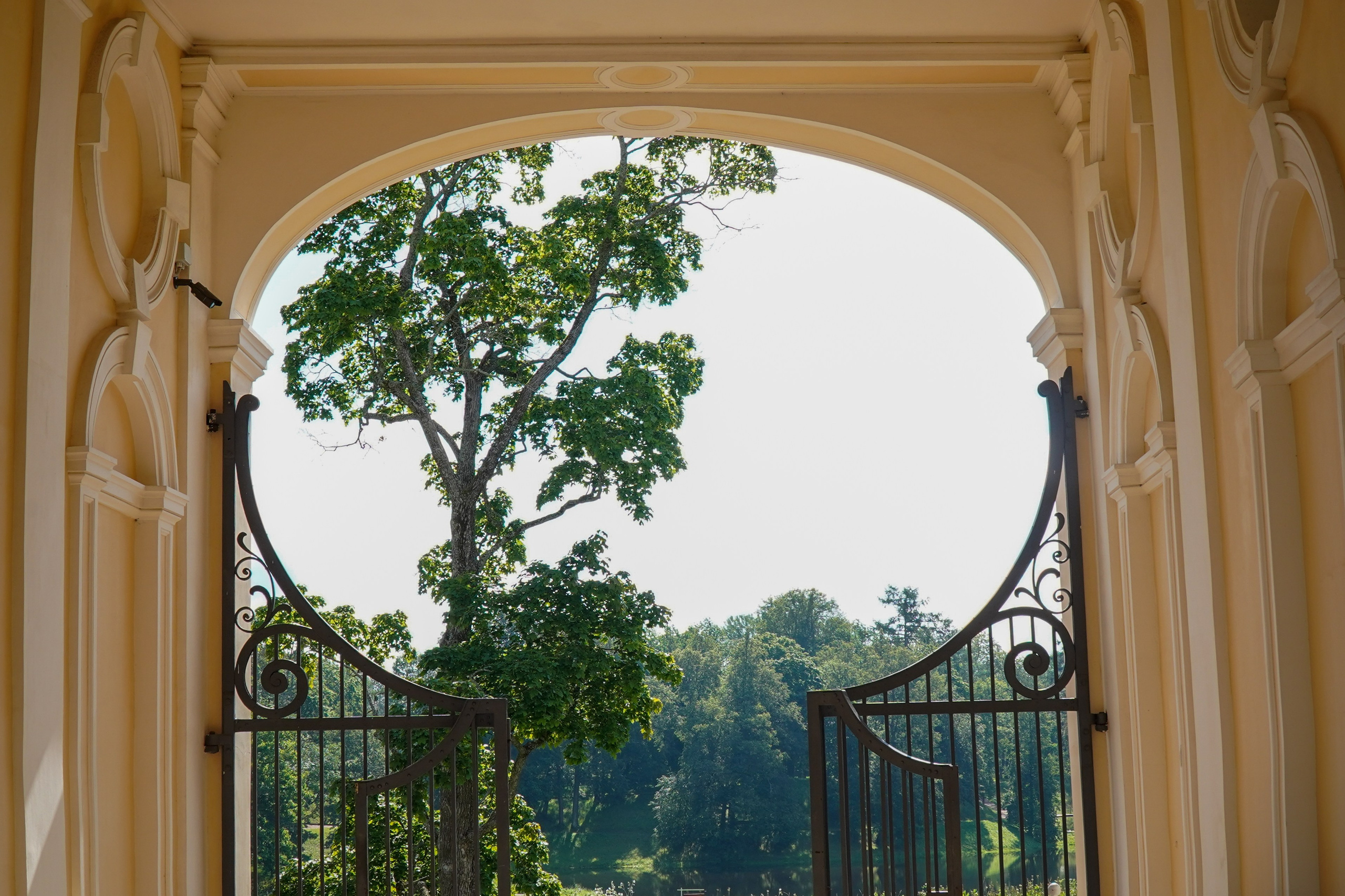 ОРАНИЕНБАУМ. Июль 2024. Фотограф Наталья Погодина в г. Обнинске