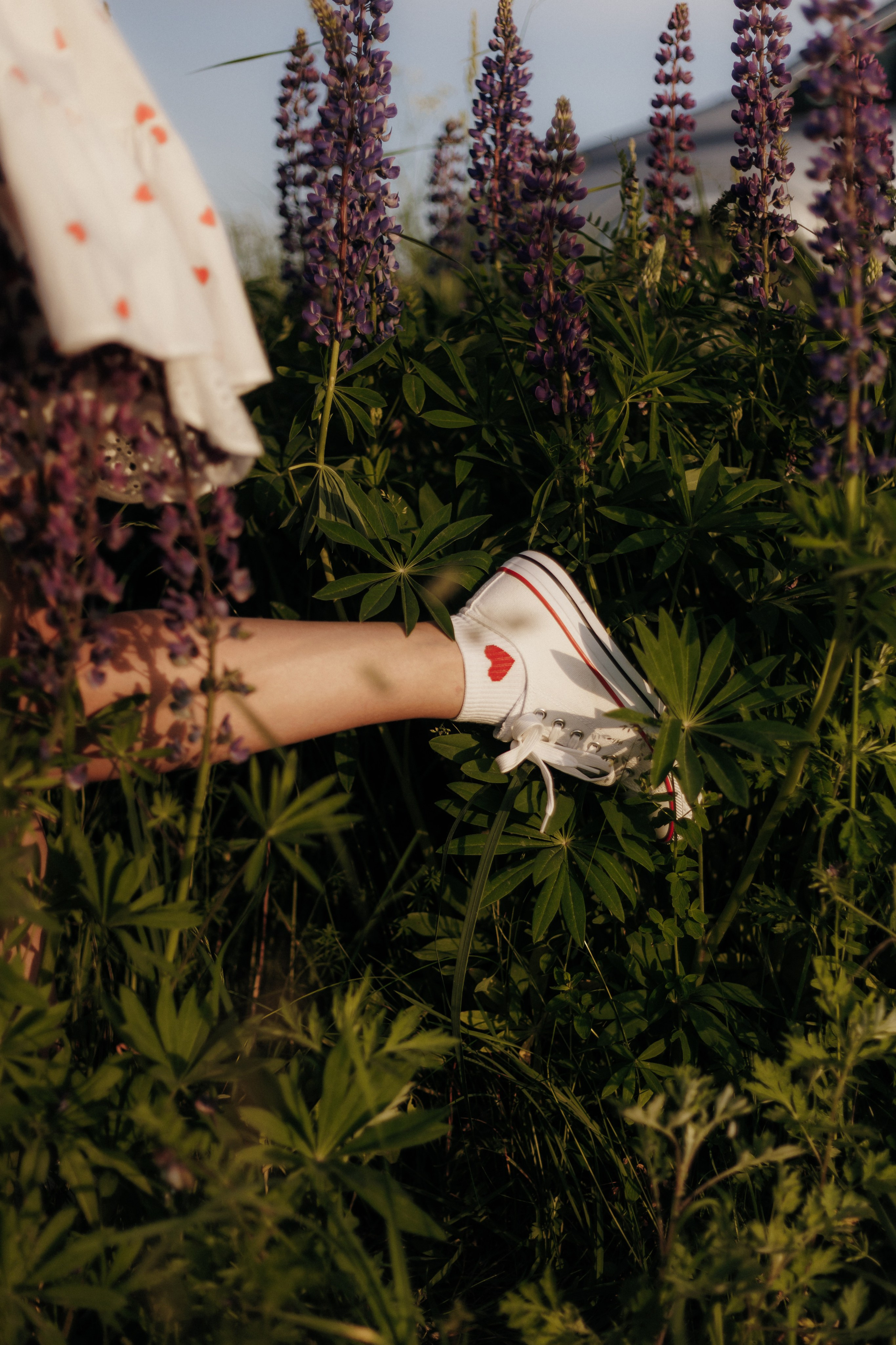 Денис и Даша. Свадебный и семейный фотограф Витебск, Минск, Андрей Павлов