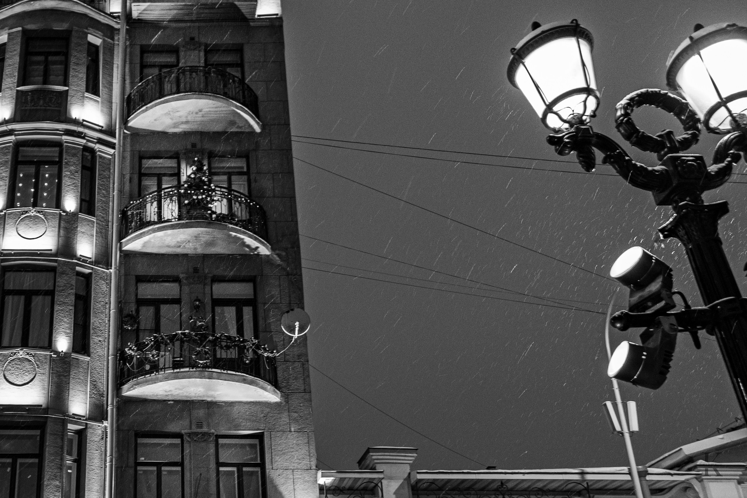 Бульвар. Январь 2026. Фотографирую жизнь! Московский фотограф волонтер