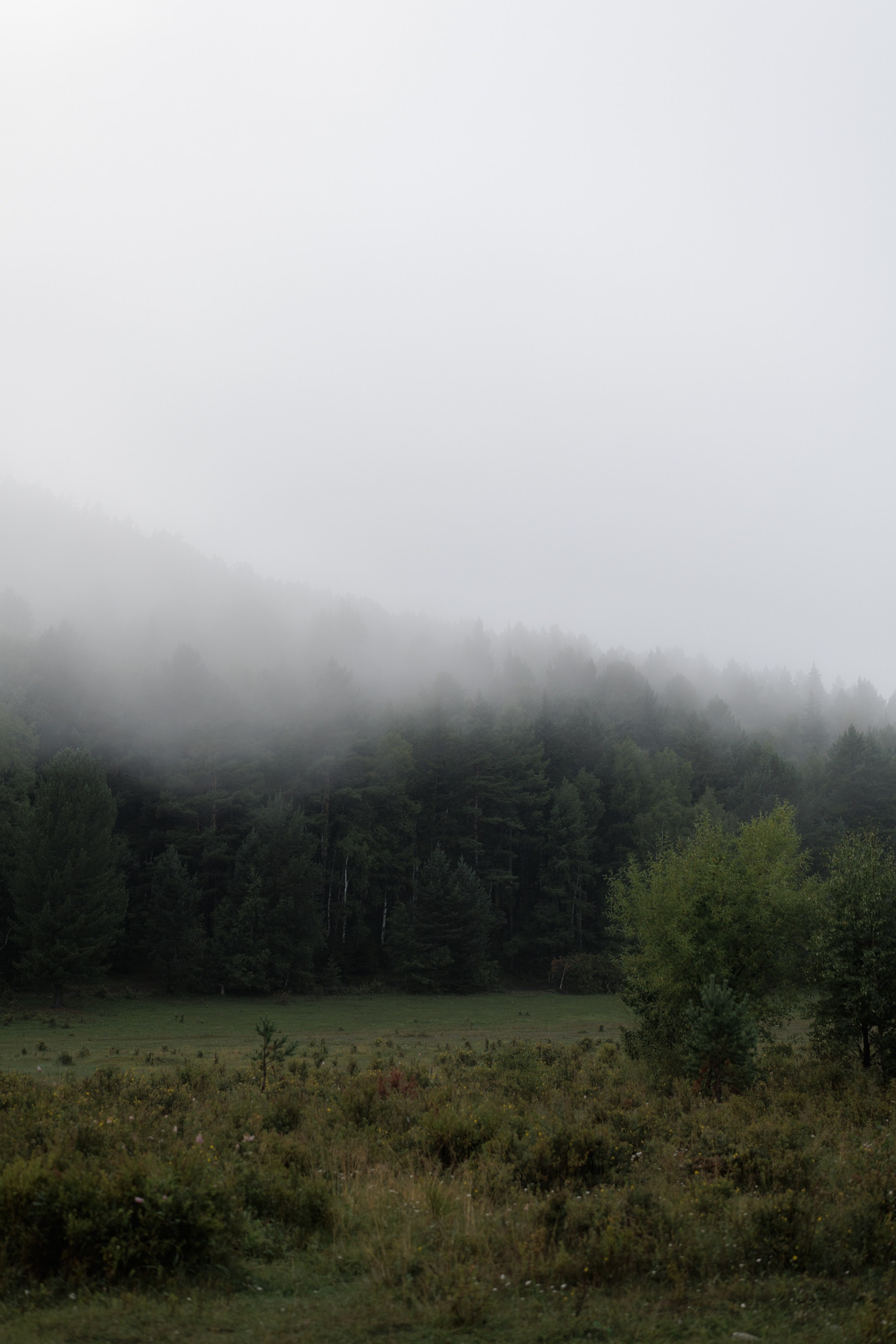 Захар и Виктория. Свадебный фотограф