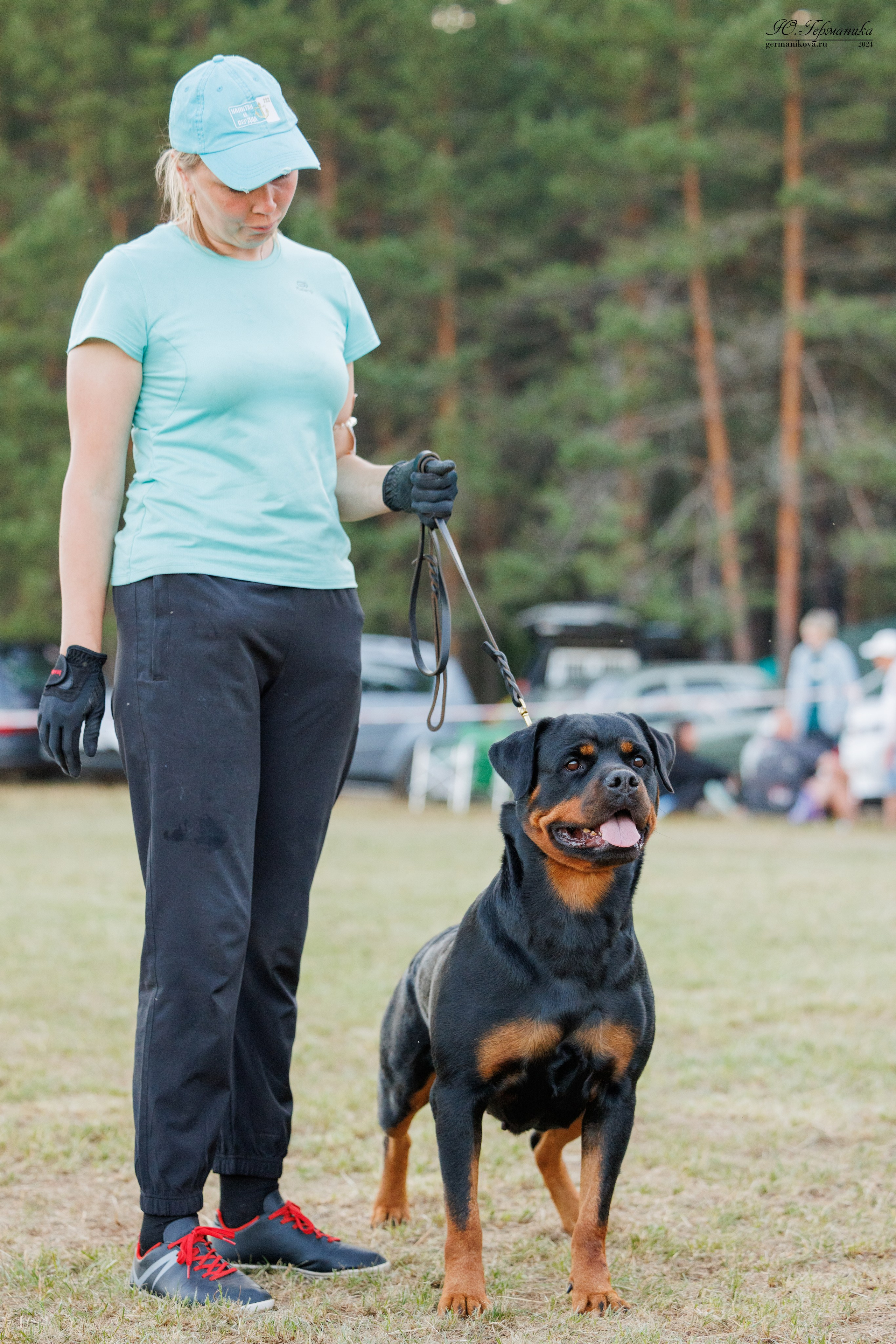 ПК и КЧК ротвейлеры Тверь 6-7.07.2024. Фотограф-анималист Юлия Германика