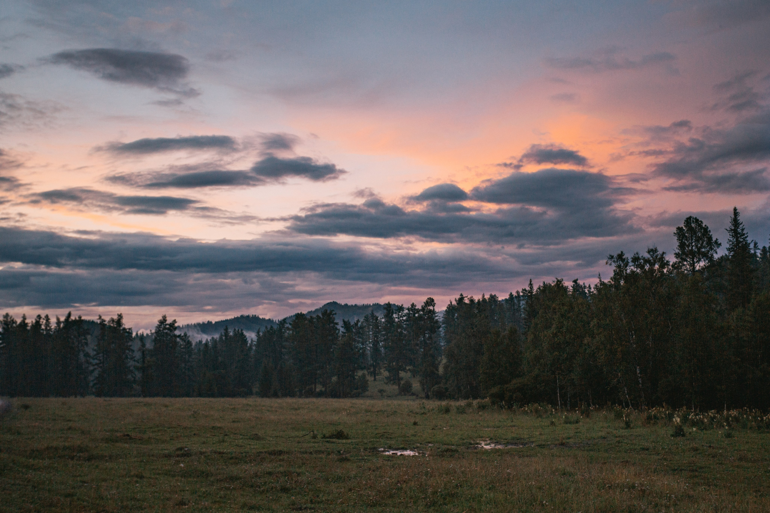 Катунский заповедник, Республика Алтай. Репортажный фотограф в Крыму Ксения Гасица