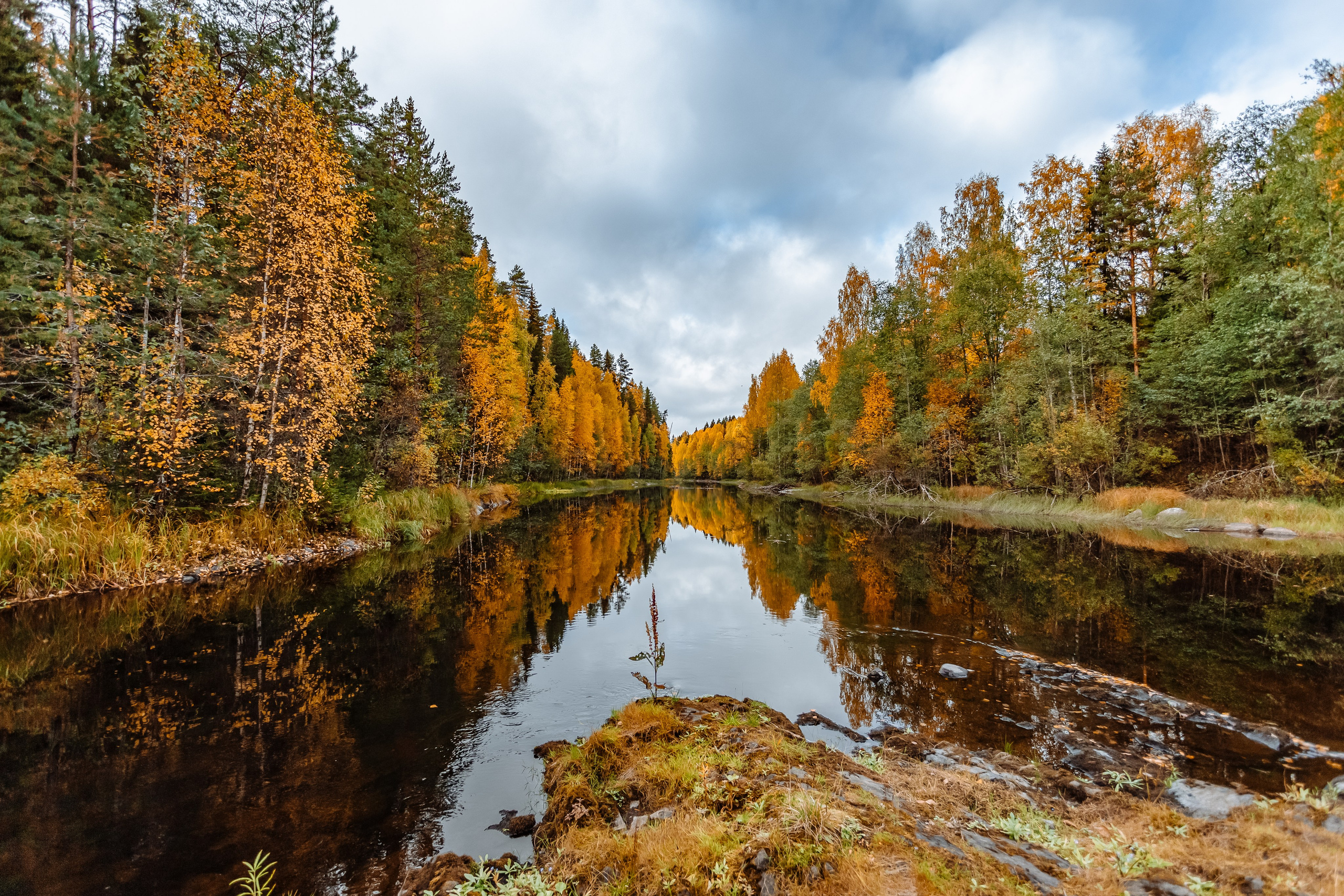 Особо охраняемые природные территории Республики Карелии. Репортажный фотограф в Крыму Ксения Гасица