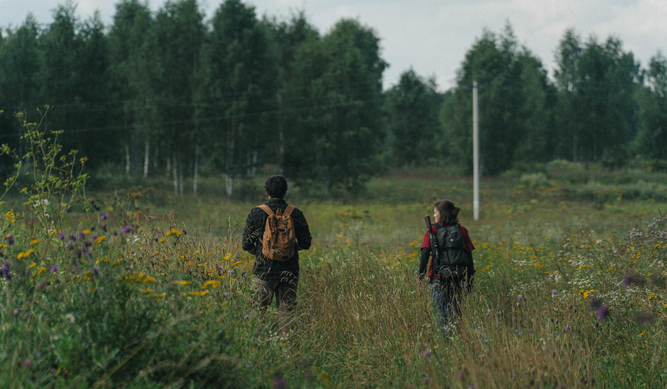 Фотосессия The Last of Us (Одни из нас). Светофография