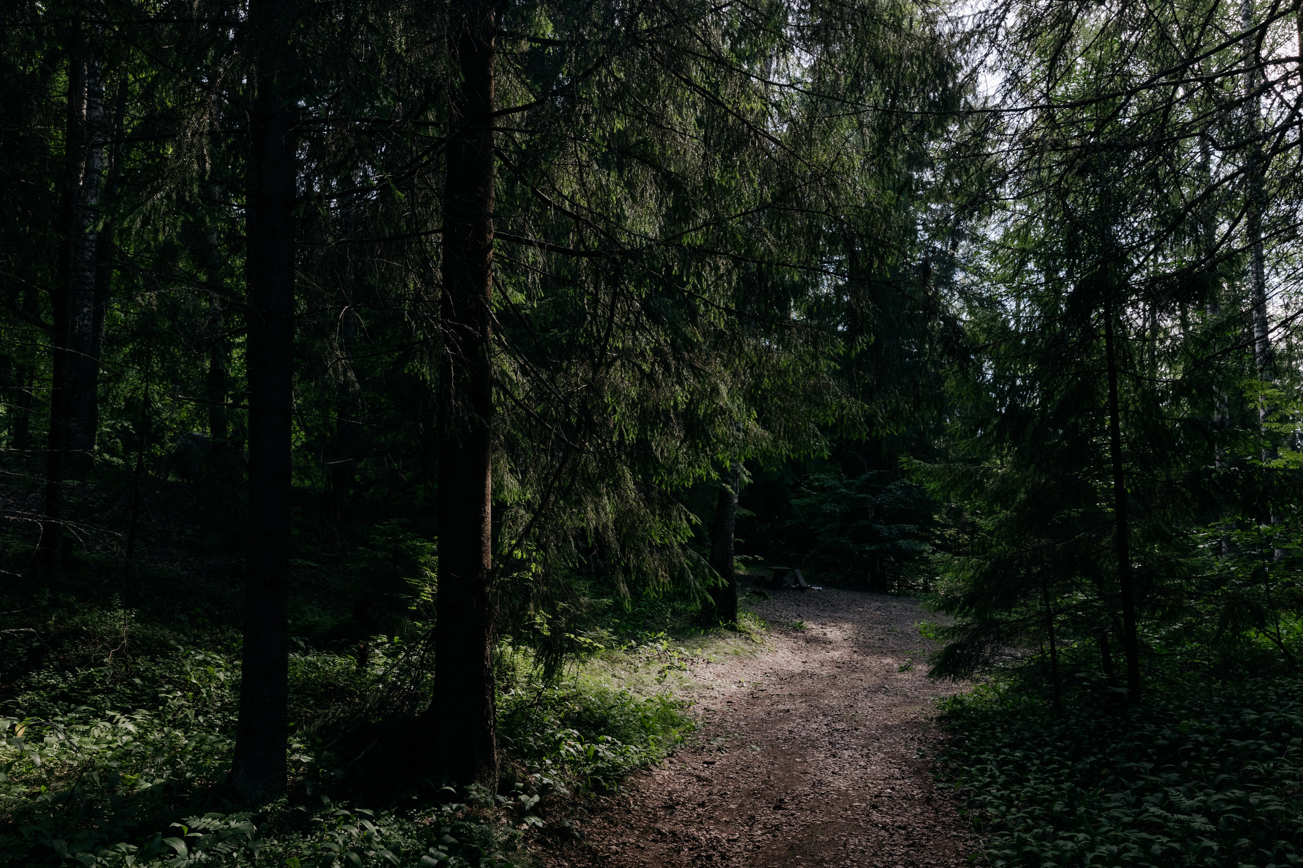 «Суженый, ряженый, приди ко мне наряженный». Свадебный и репортажный фотограф в Санкт-Петербурге