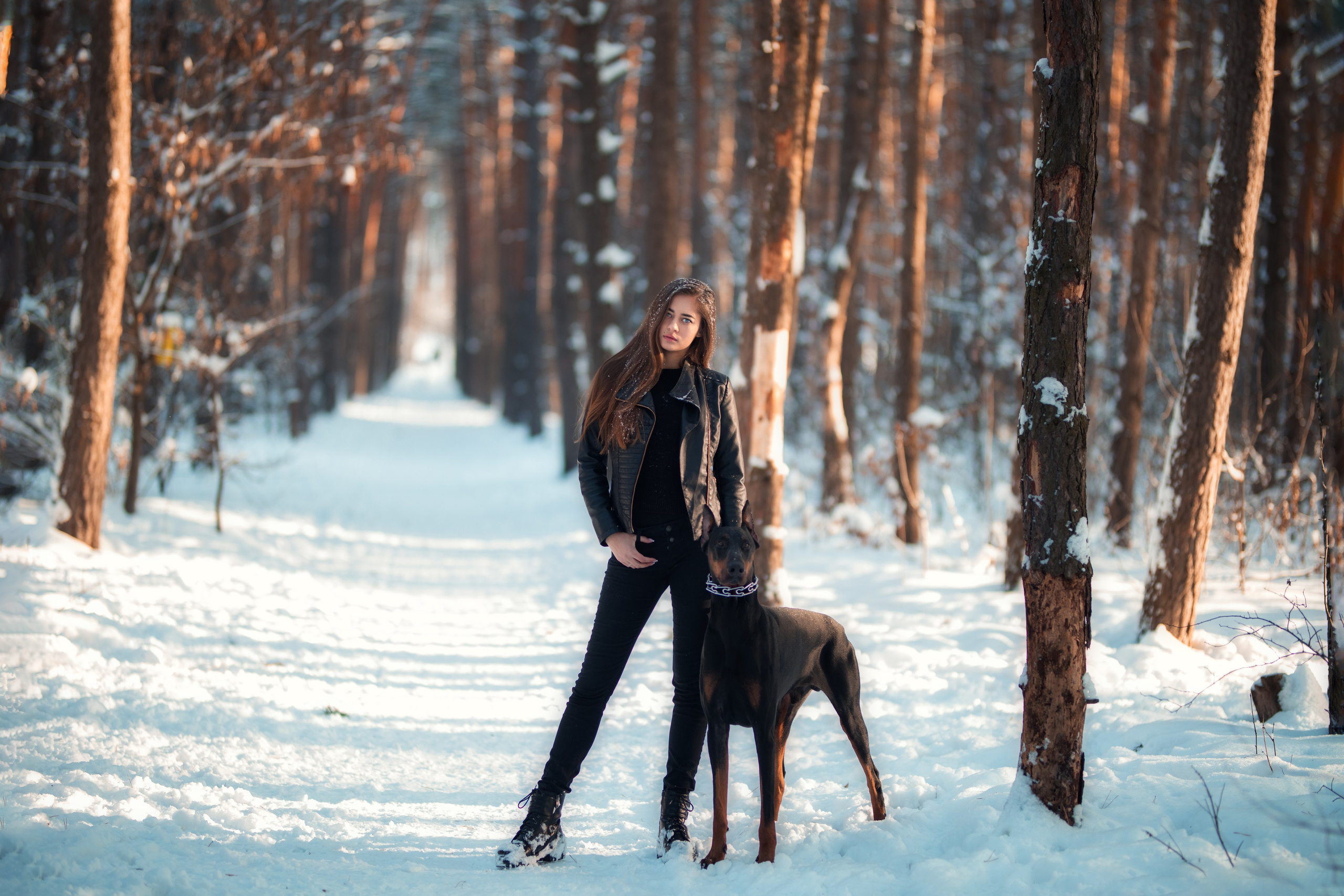 Зимняя съемка в лесу с доберманом с Ольгой в формате для «себя»