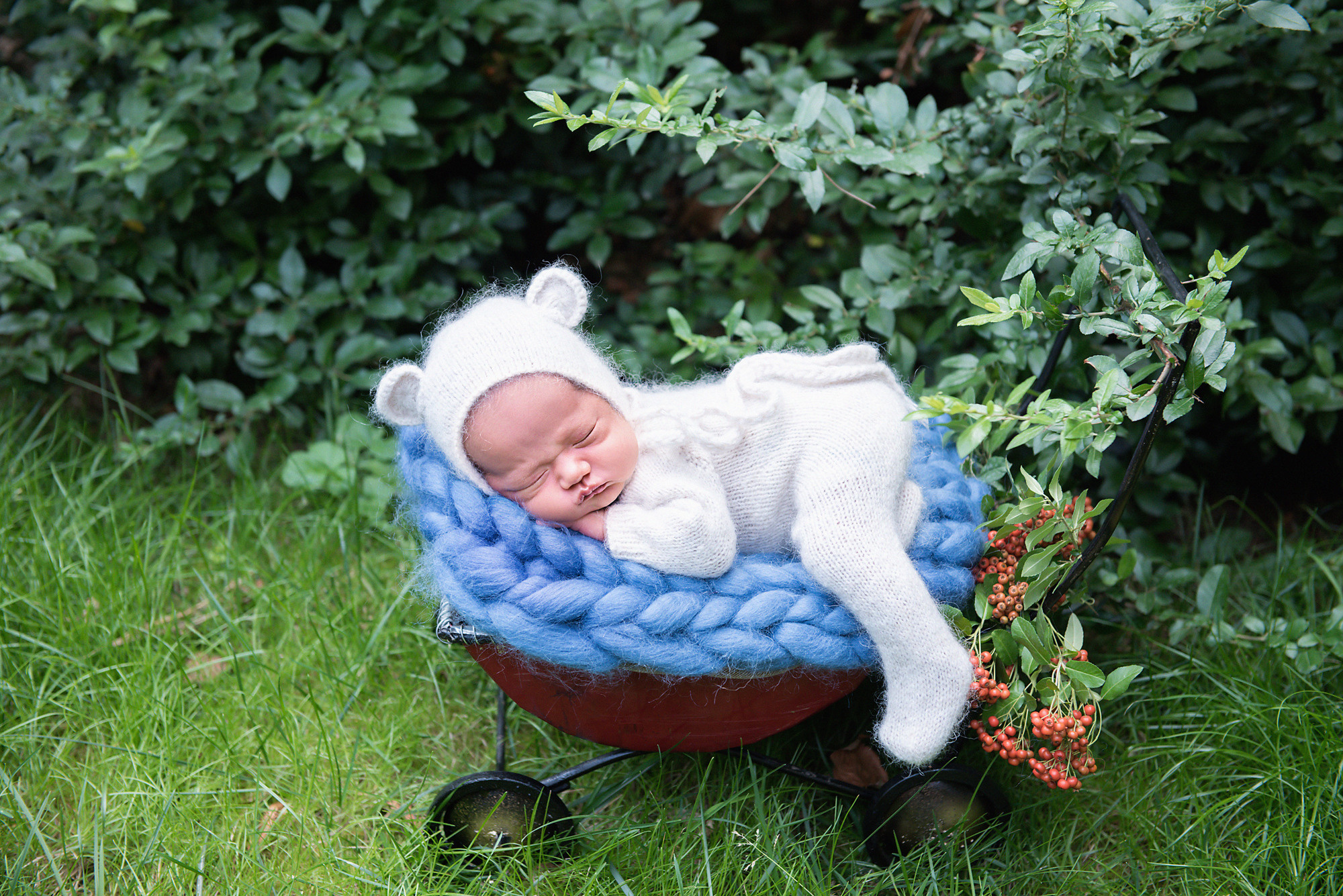 Адал 14 дней