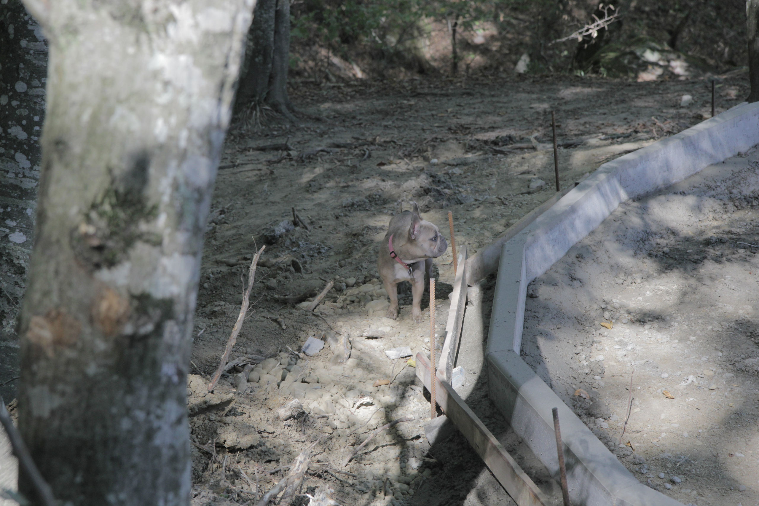 Горячий Ключ (2024-09-22). Собор Отрасли