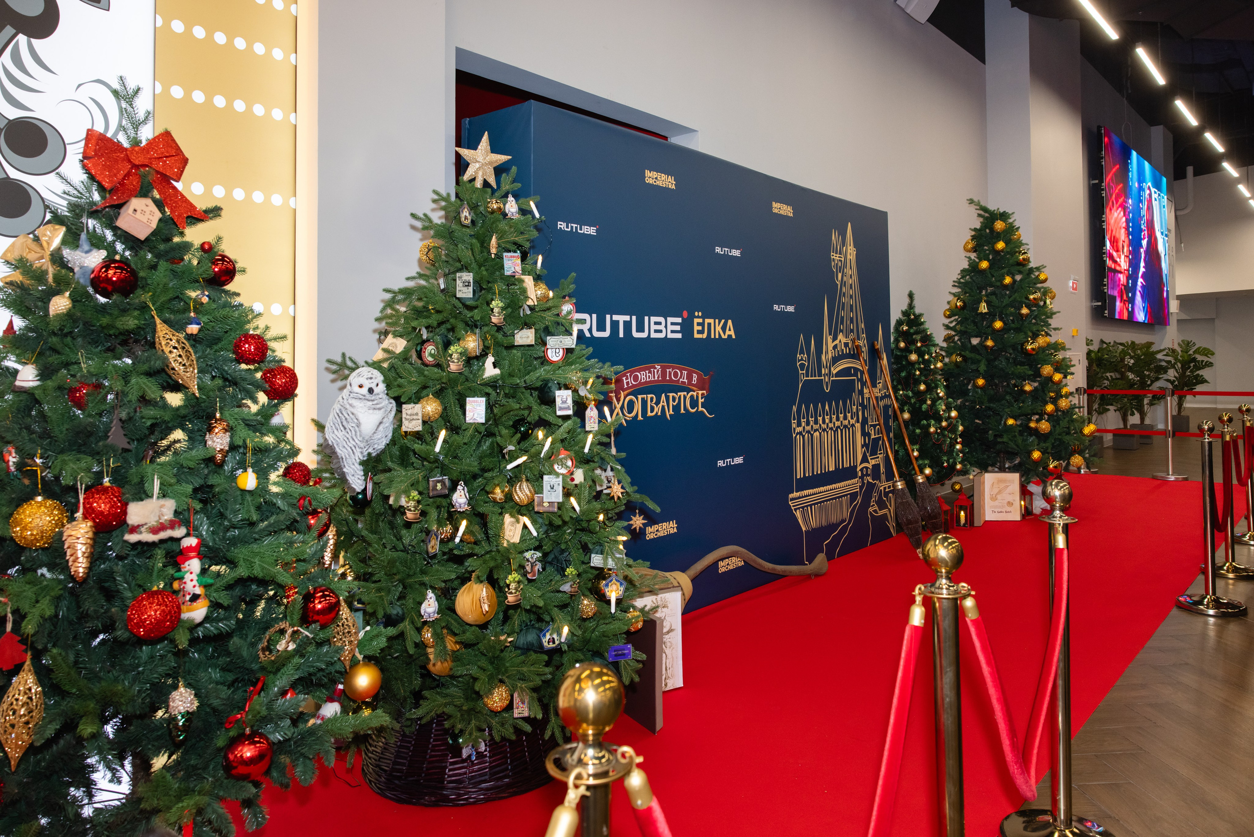 Новый год в Хогвартсе. Свадебный и семейный фотограф в Москве и Московской области Оксана Шлыкова