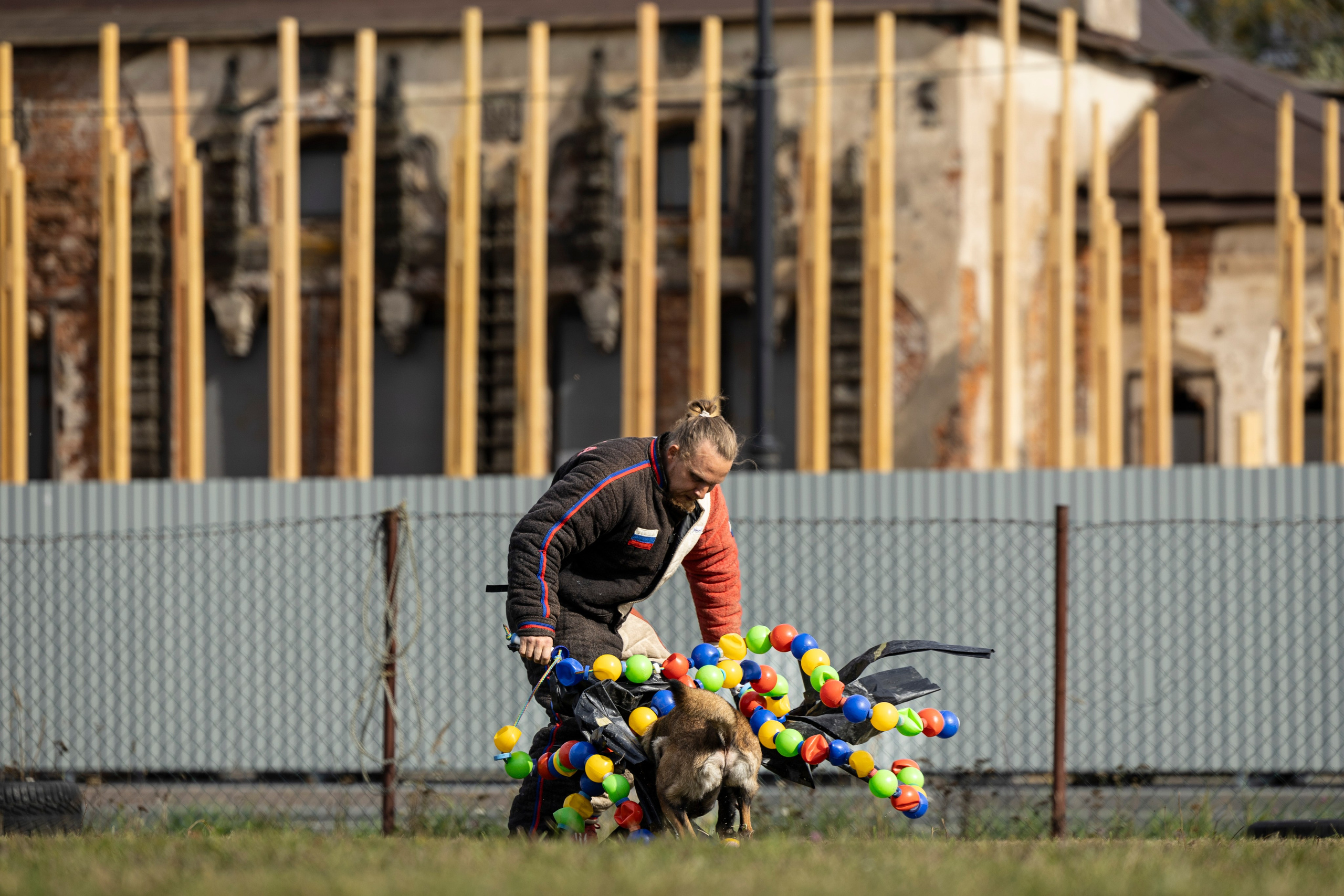 Испытания по Мондьорингу г. Пушкин. Фотограф-анималист Анна Маринич