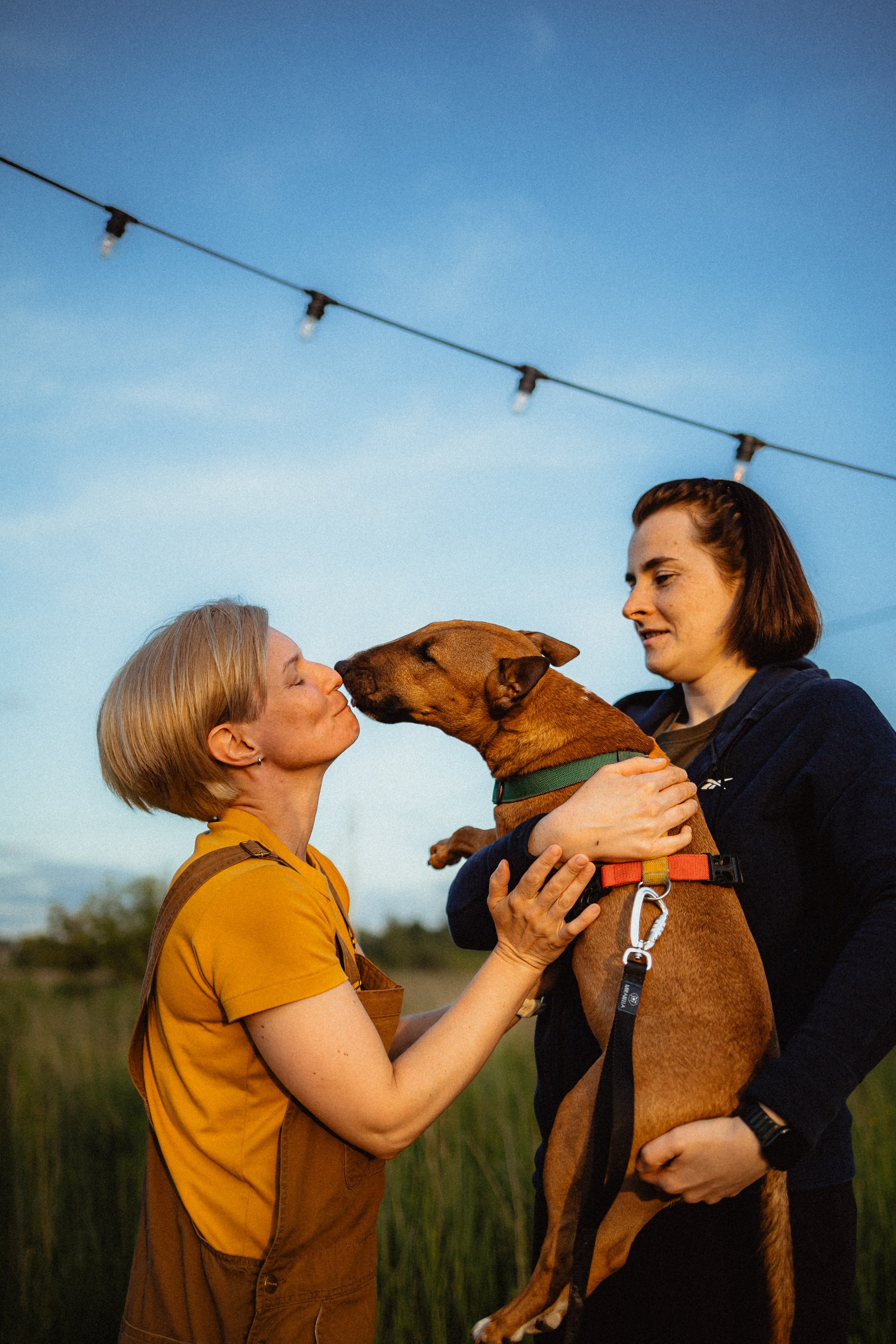 Выездной дог-тренинг от школы «Шерсть имею»