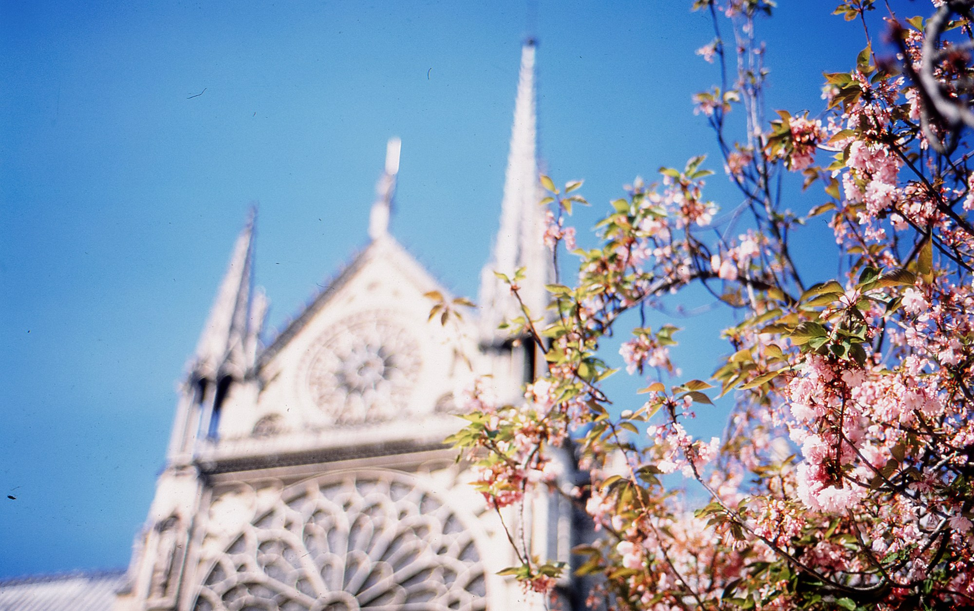 Paris photofilm slide. Iraogo