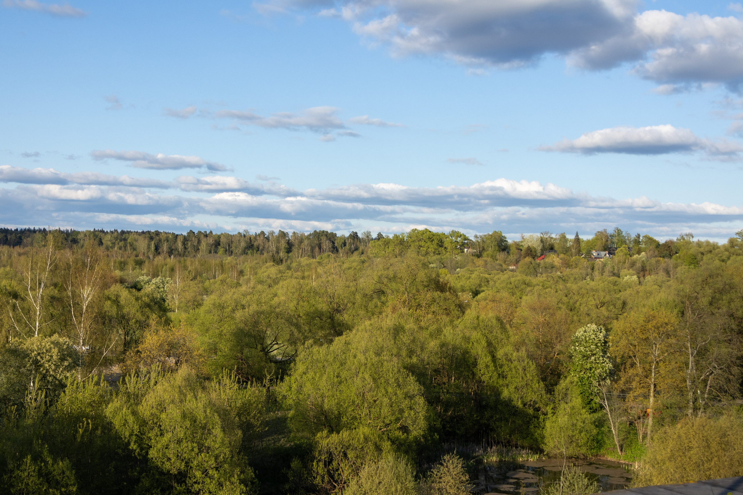 Новый Иерусалим. Jean De Vivre Gallery