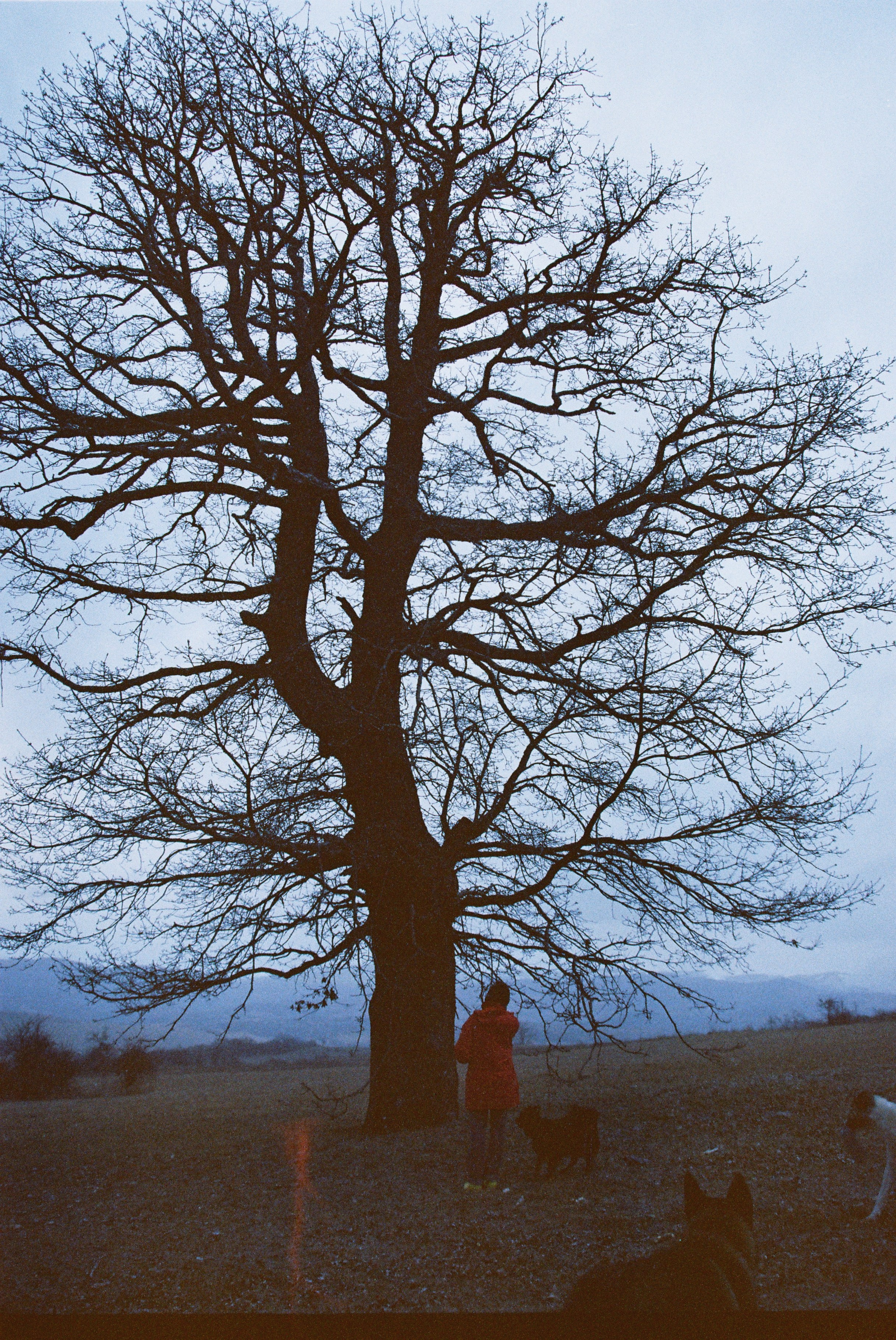 ON THE GO. Сocoobird || Атмосфера твоего бренда в снимках и видео