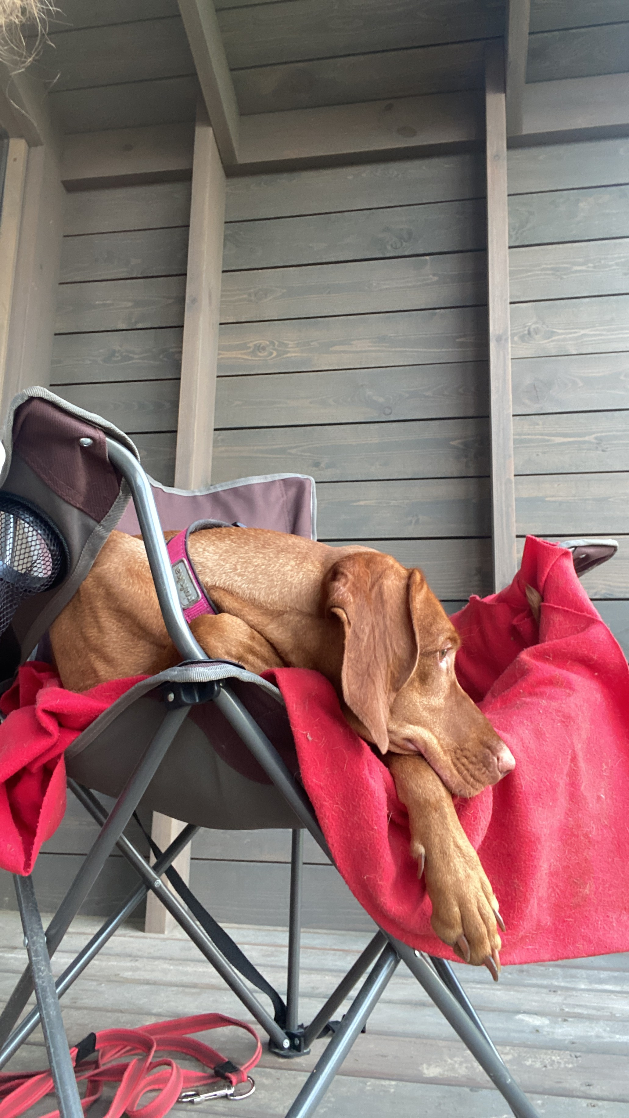 Фотогалерея. Гостевой дом Каприот в средиземноморском стиле