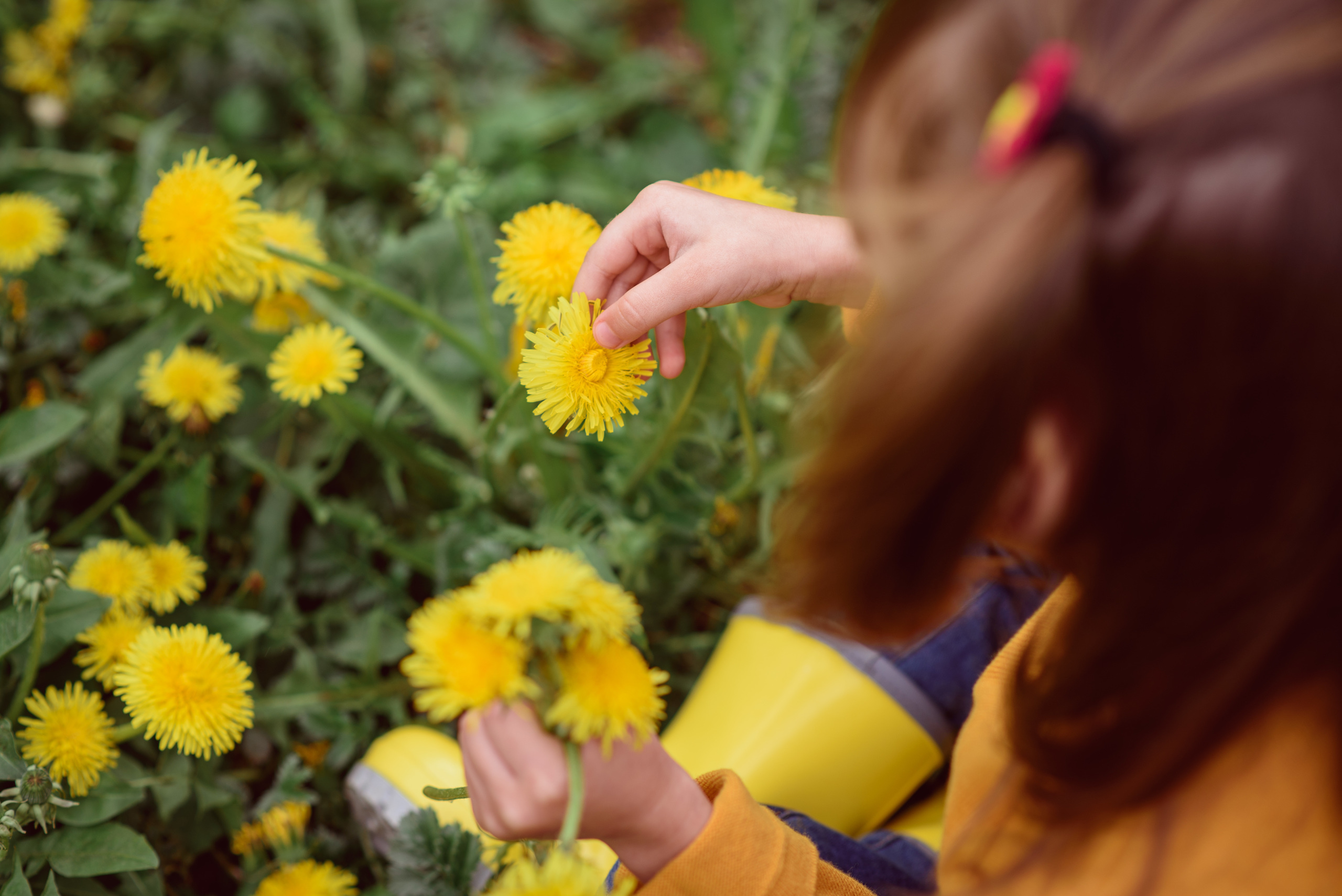 Фотопрогулка. Фотограф Екатерина Шереметова Ижевск Сарапул Воткинск
