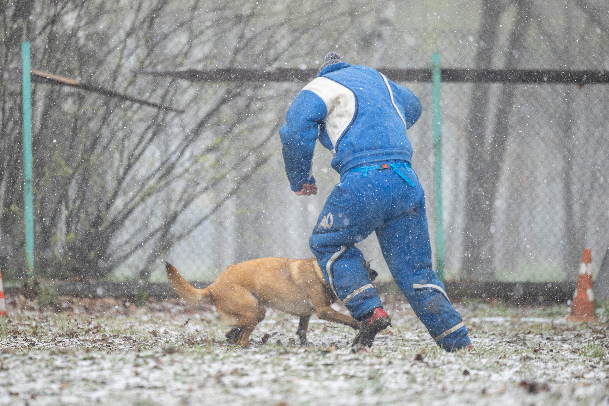Квалификационные состязания по мондьорингу г. Вологда 11.05.24. Фотограф-анималист Анна Маринич