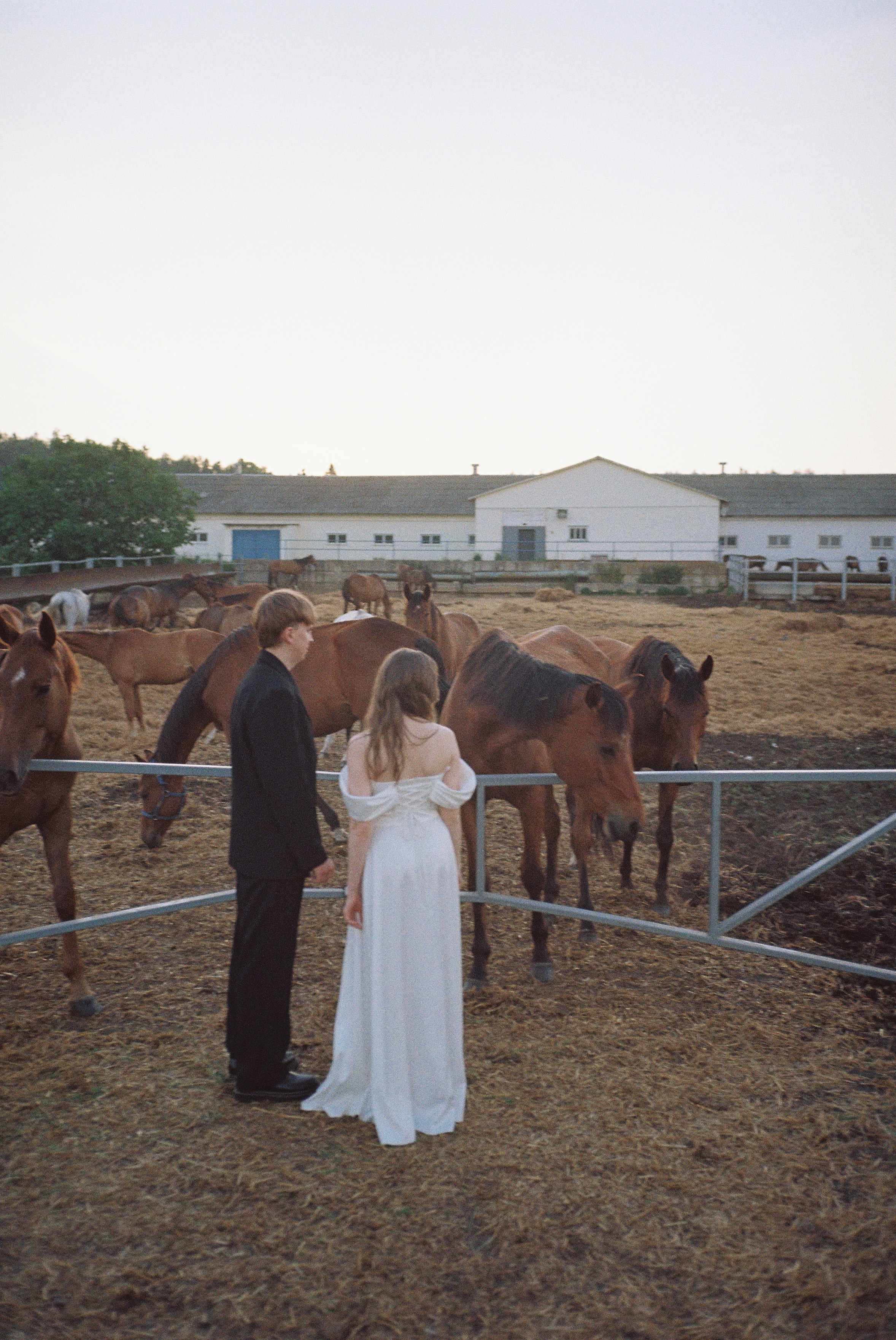 Olesya & Pavel (пленка). Свадебный фотограф Рома Родионов