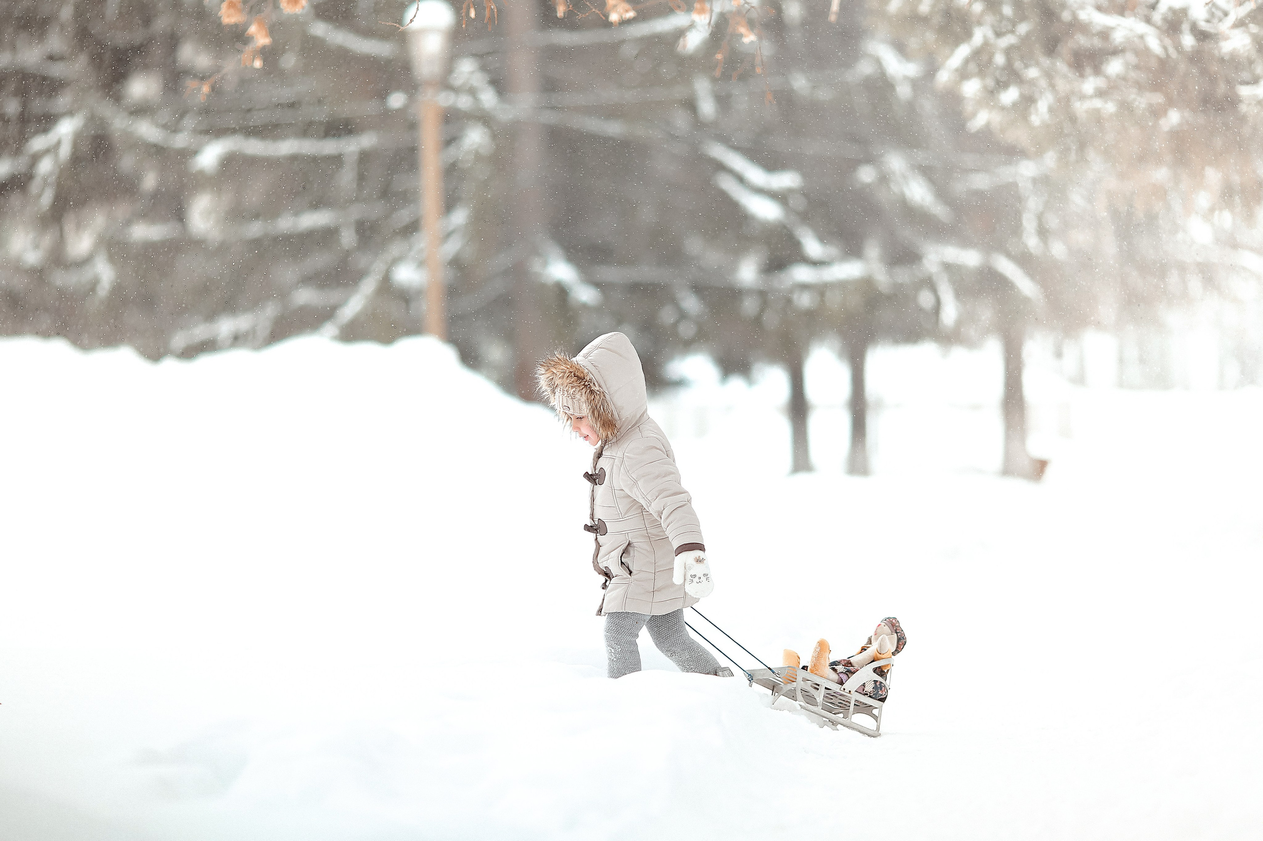 Белоснежная зима. Семейный фотограф в Новосибирске Екатерина Сафронова