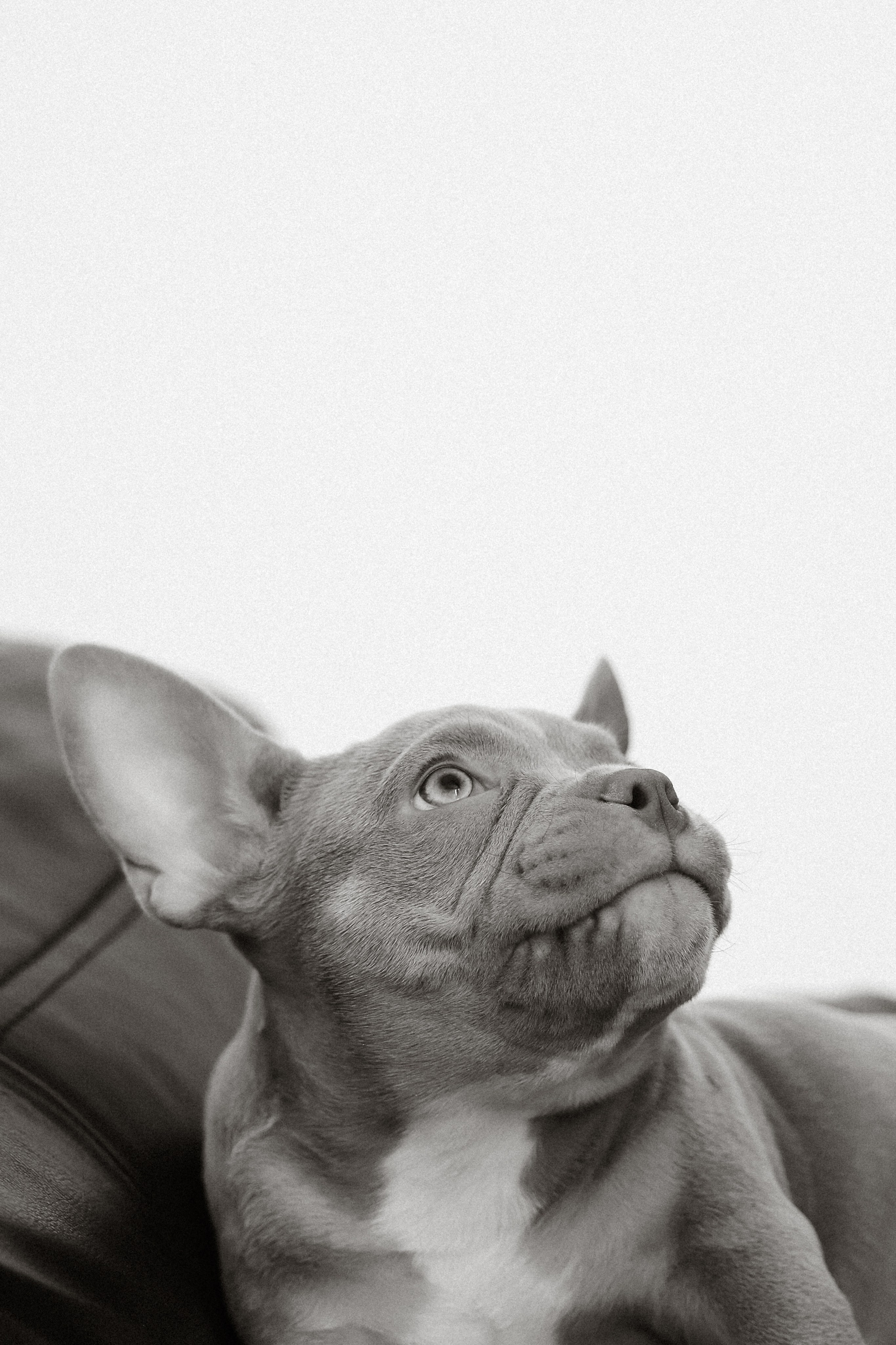 Семейная съемка с хвостиком. Фотограф Юлия Герасимова Иркутск