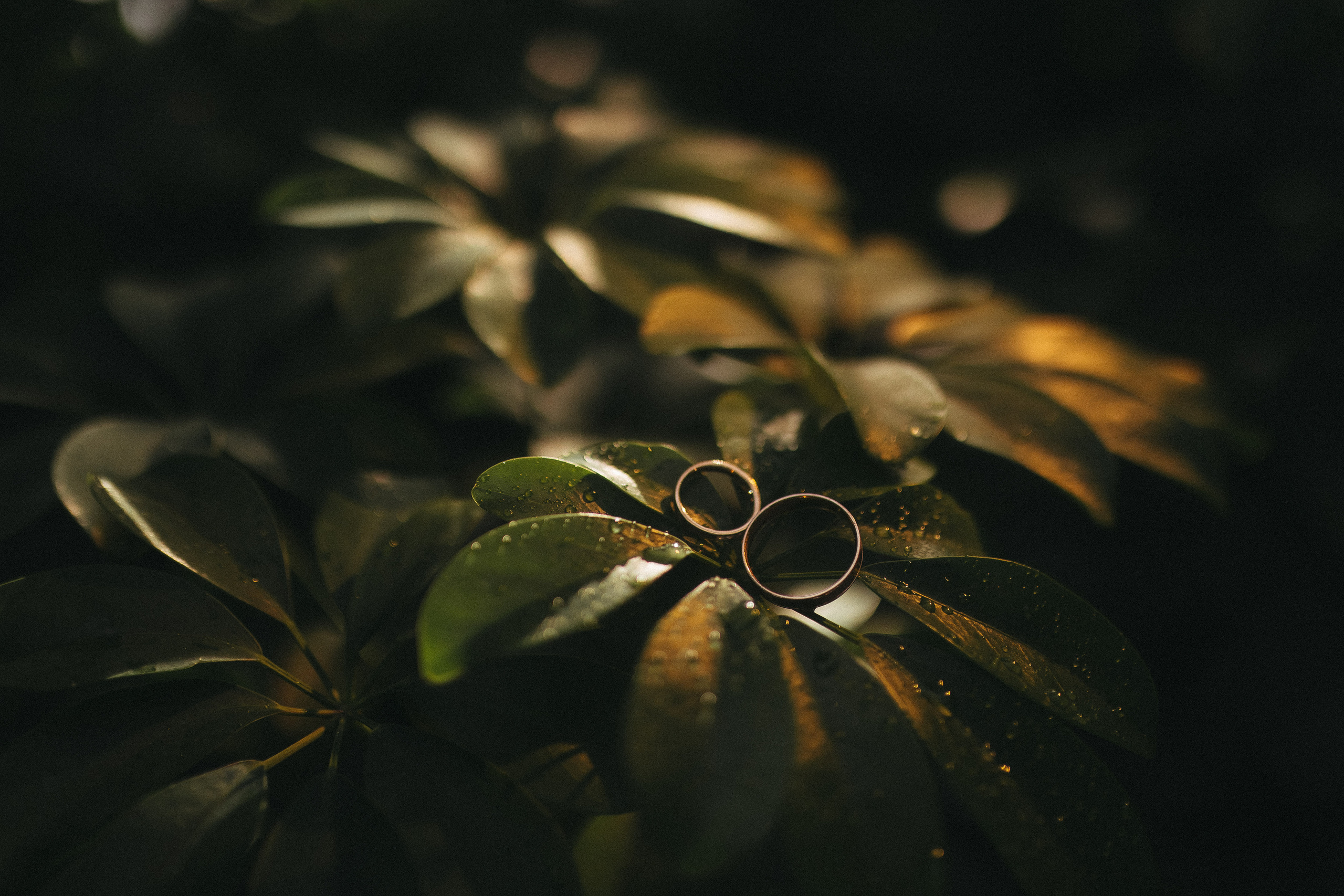 Свадебные истории. Фотограф Роман Блинов