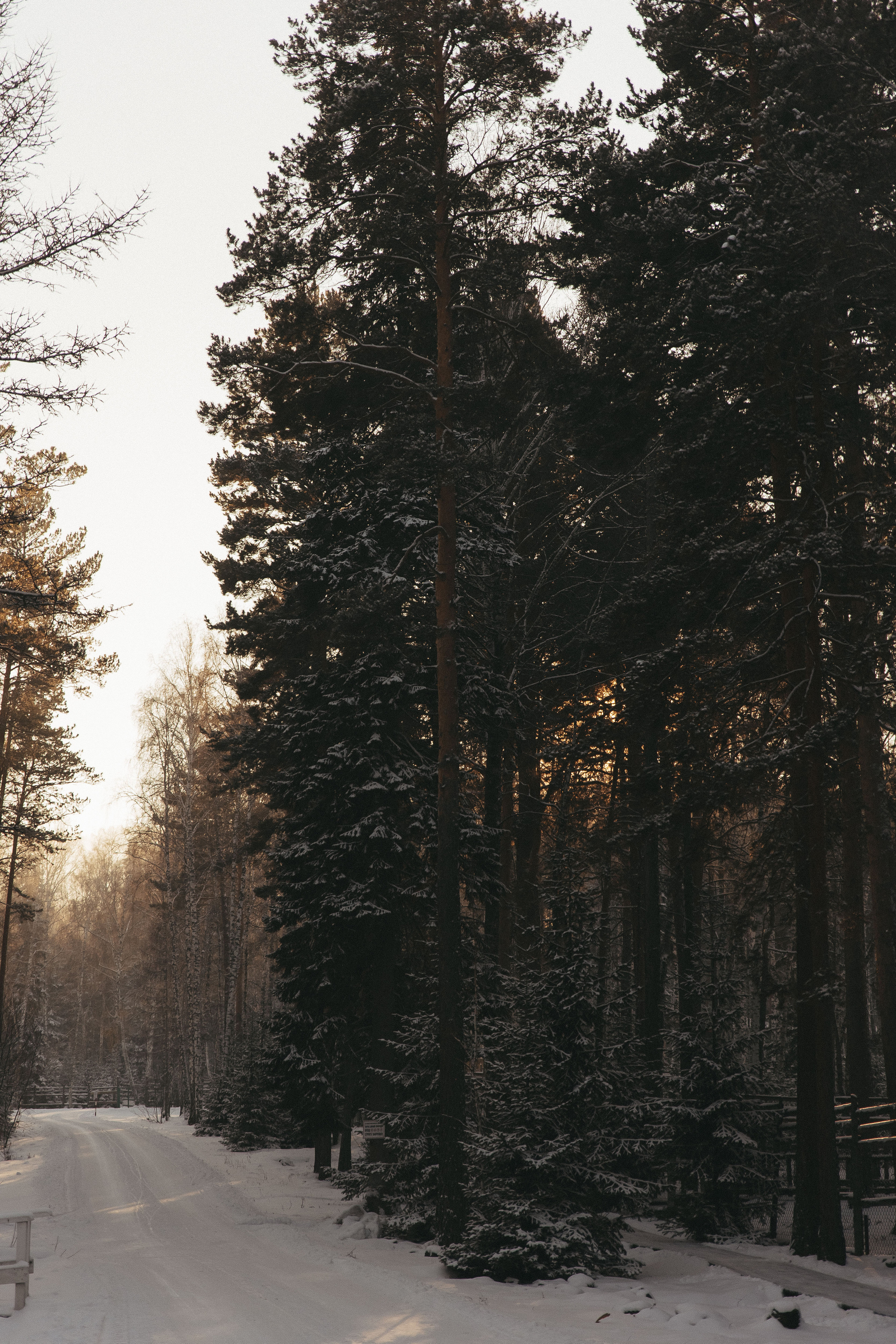 Свадебные истории. Фотограф Роман Блинов