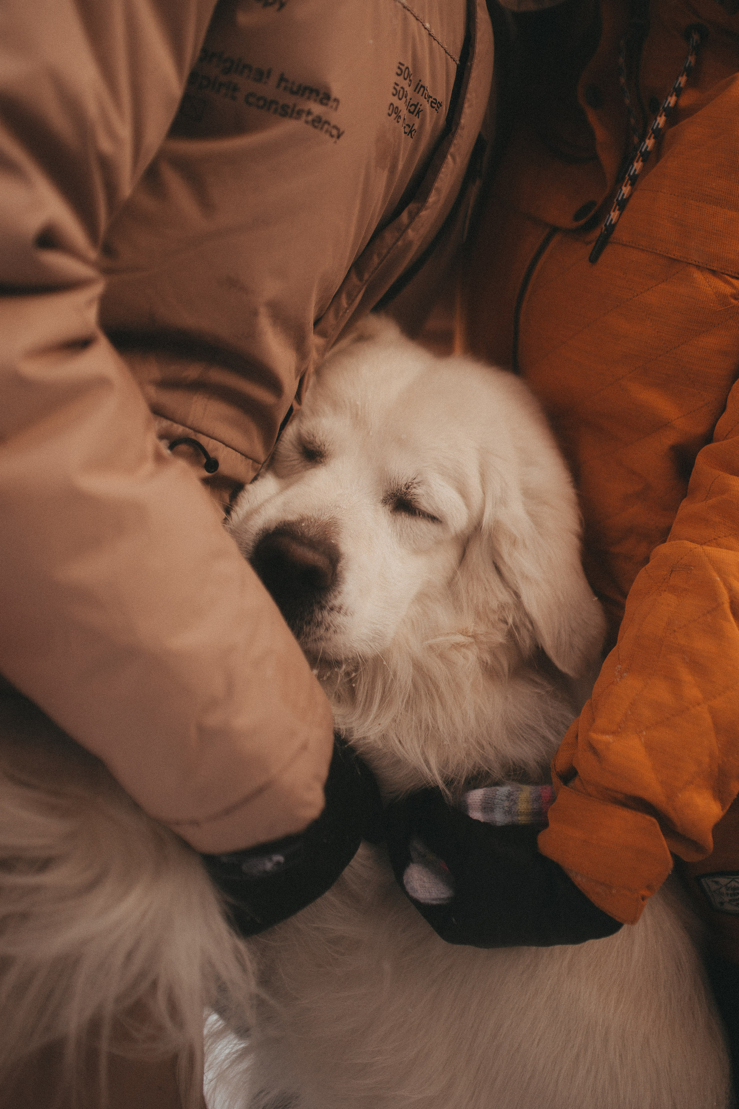 Семейные истории. Фотограф Роман Блинов