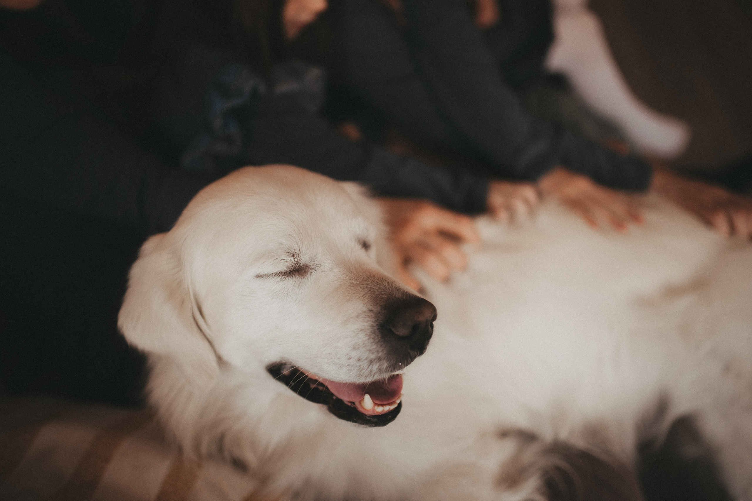 Семейные истории. Фотограф Роман Блинов