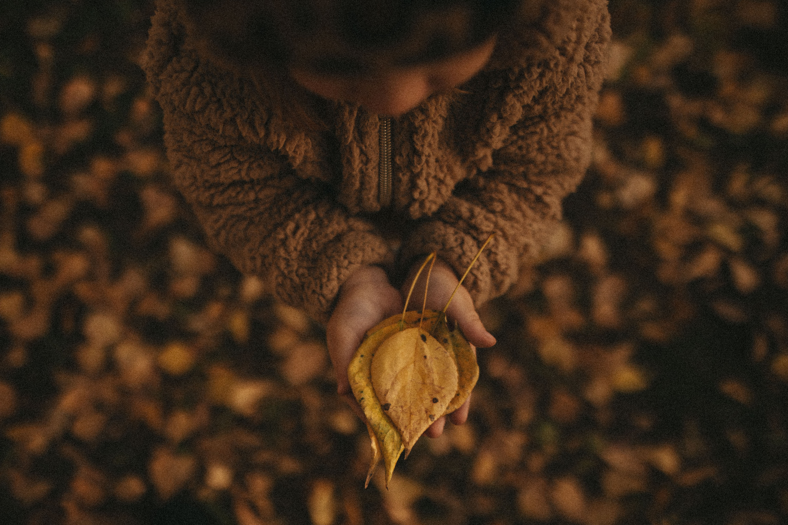 Семейные истории. Фотограф Роман Блинов