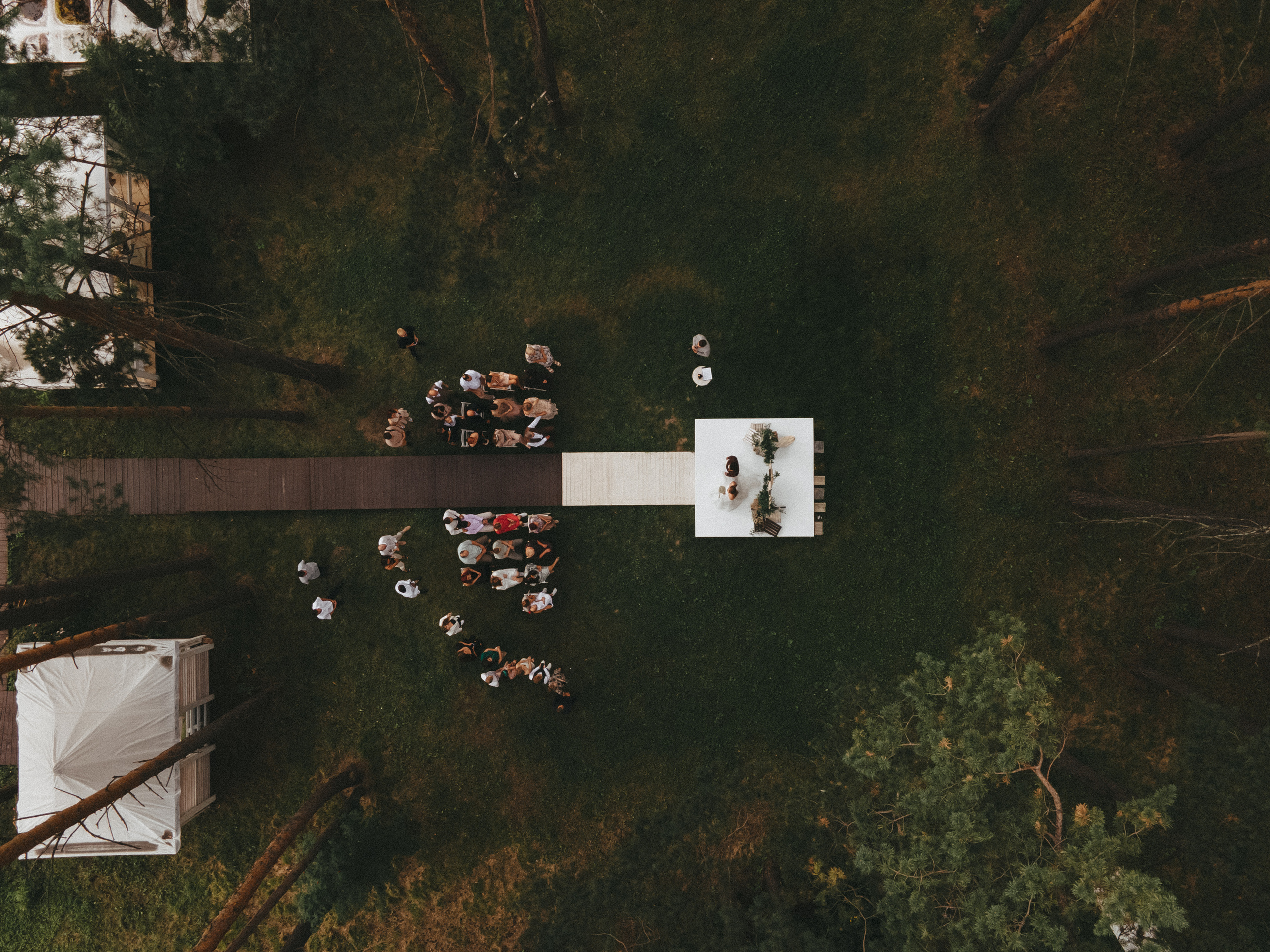 Свадебные истории. Фотограф Роман Блинов