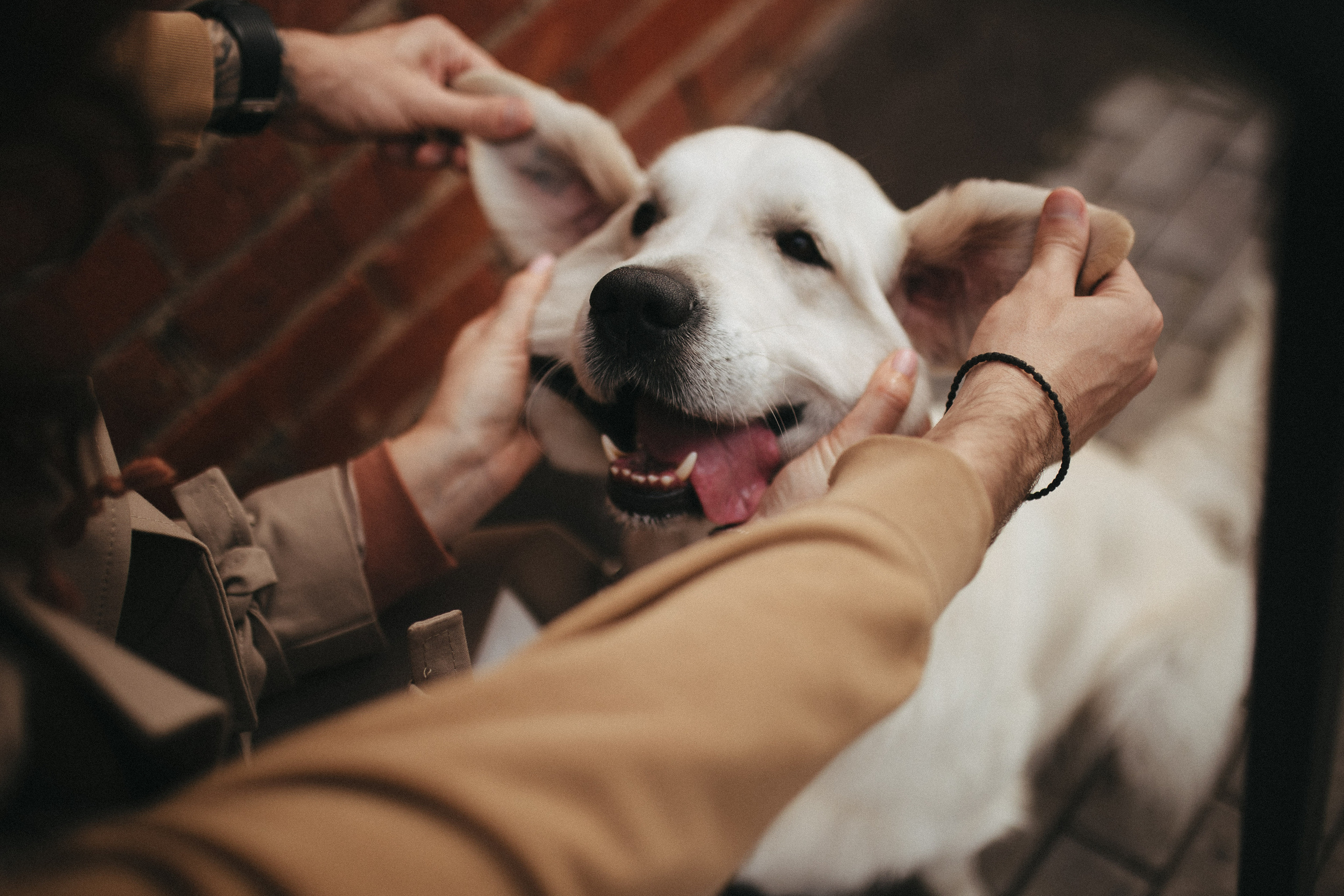 Love Story. Фотограф Роман Блинов