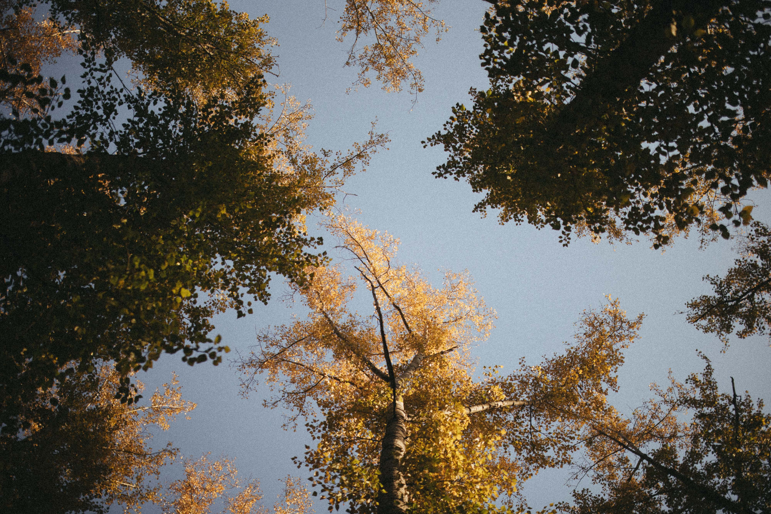 Семейные истории. Фотограф Роман Блинов